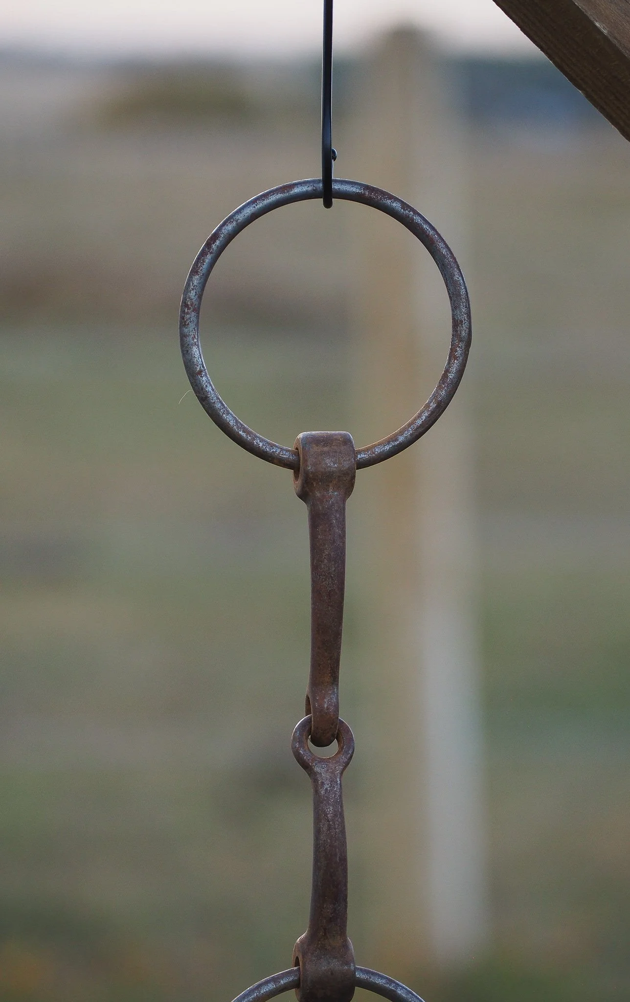 PA030617.jpg
