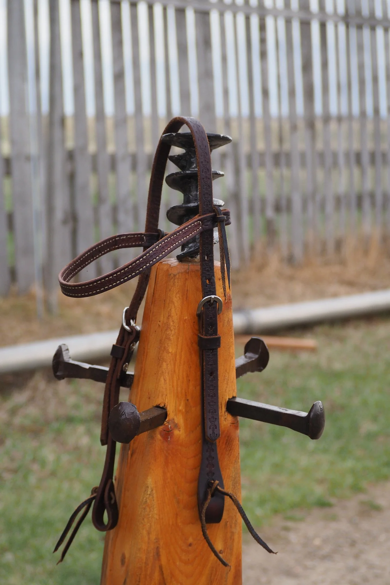 Barbed Wire Print Headstall