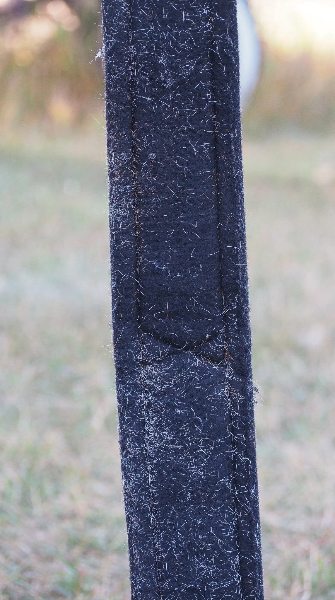 PA030518.jpg