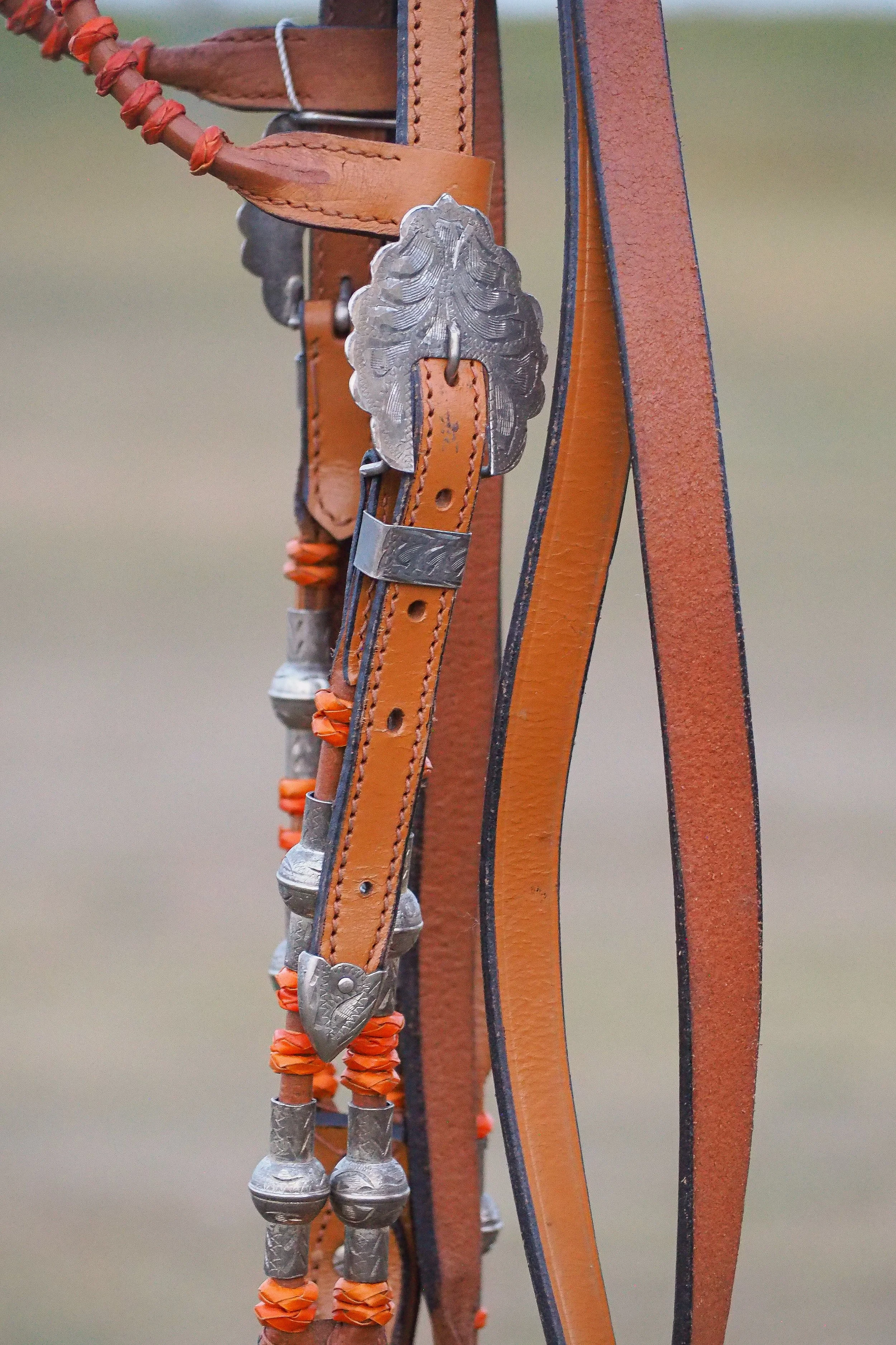 PA010577.jpg