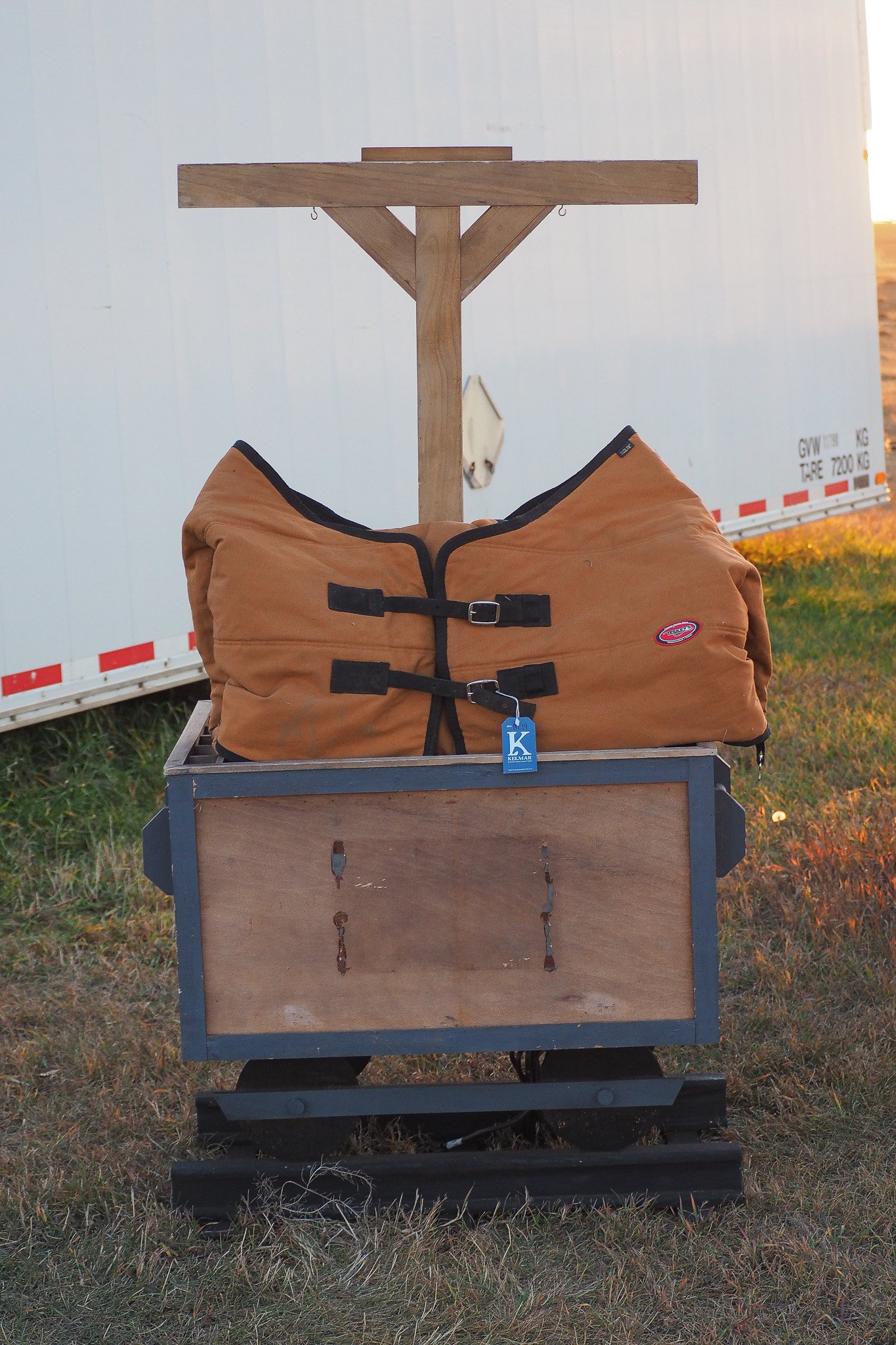 PA220209.jpg