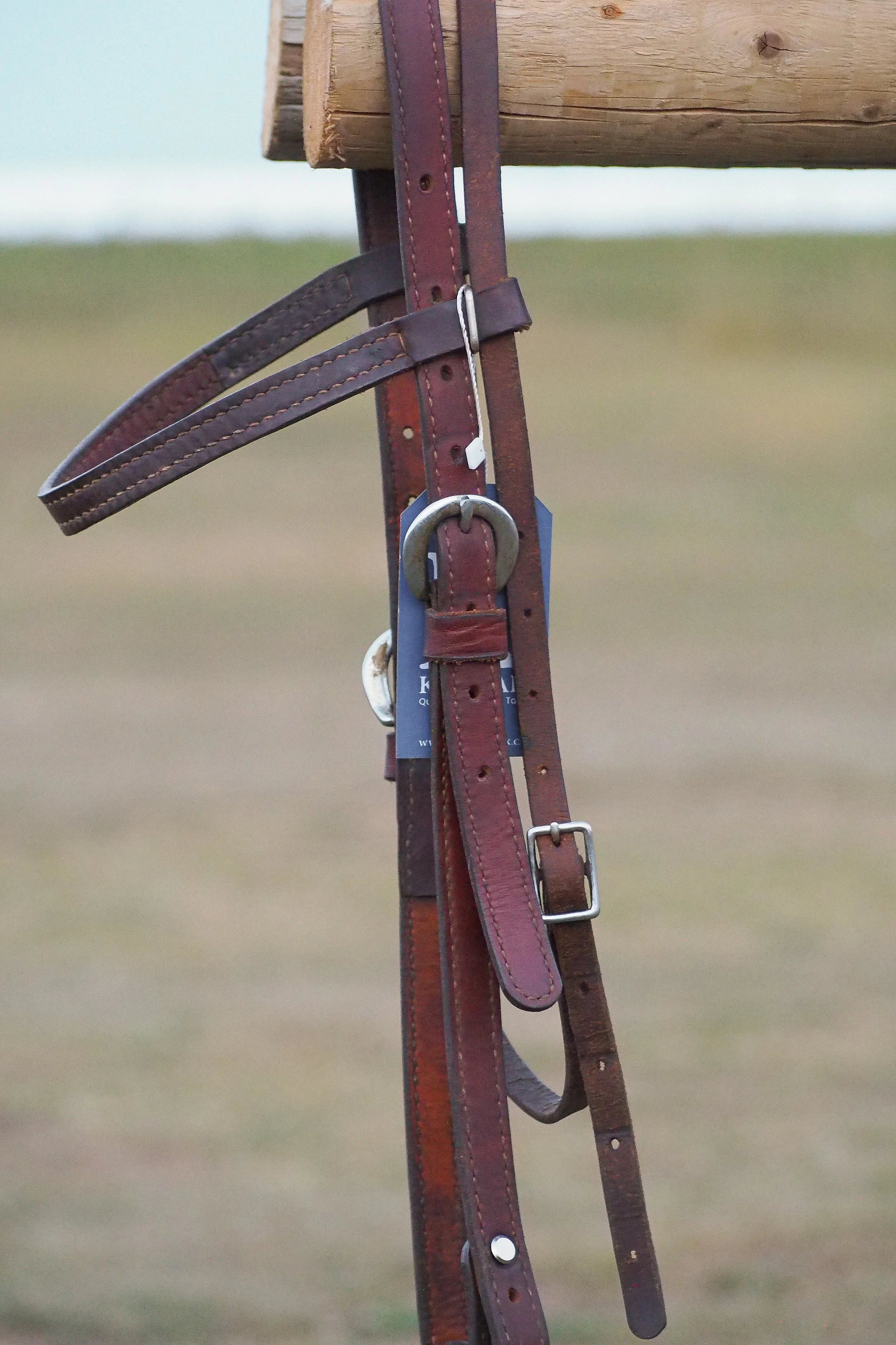 PA010589.jpg