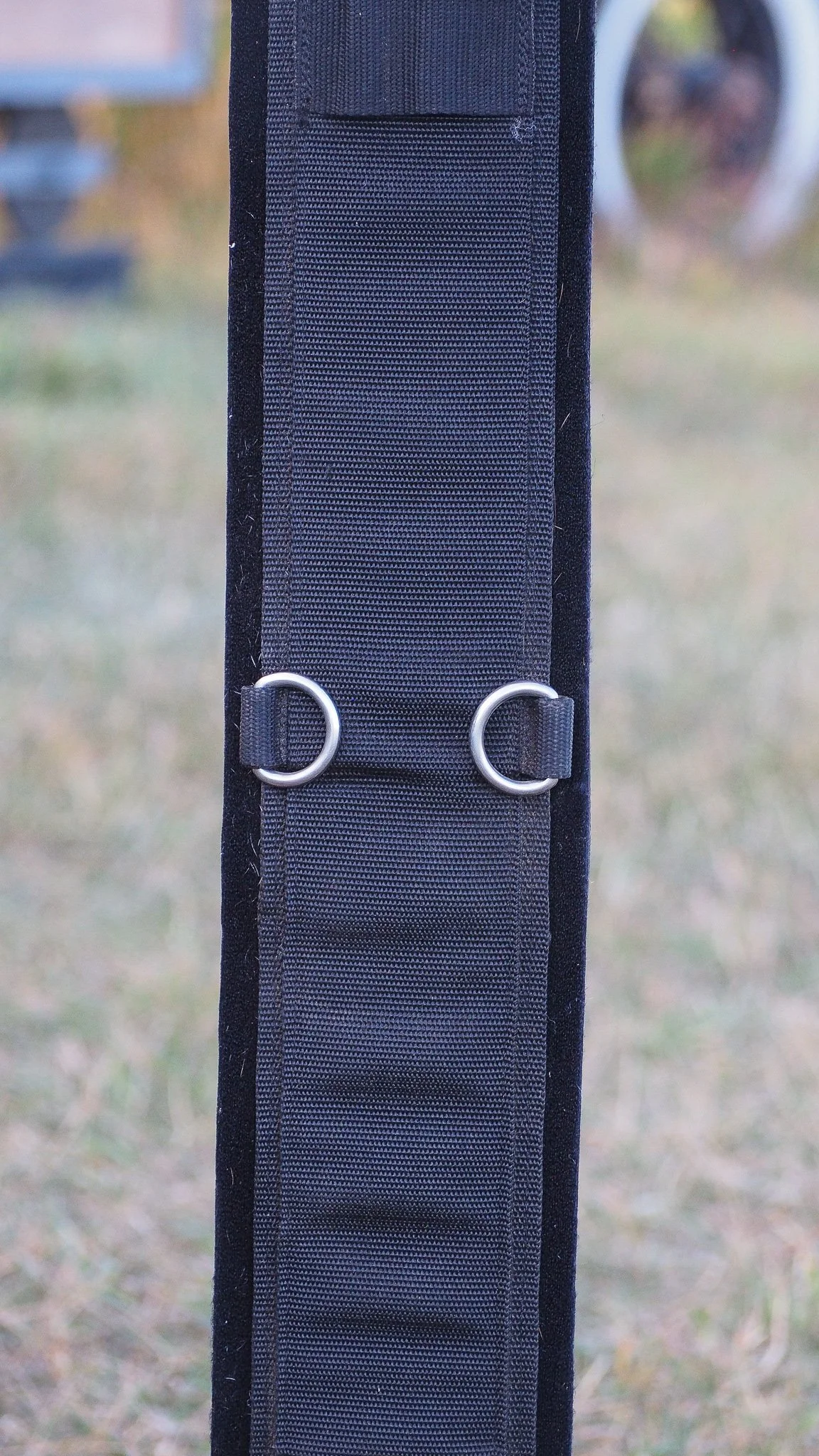 PA030569.jpg