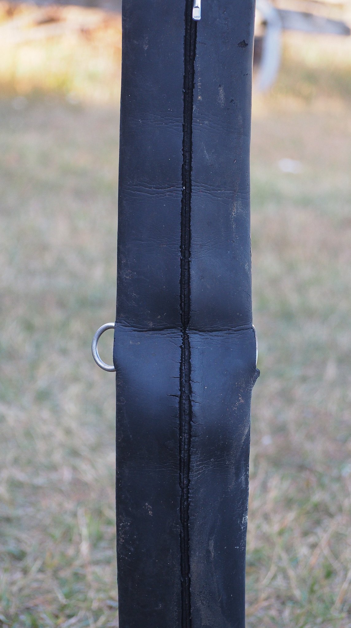 PA030510.jpg