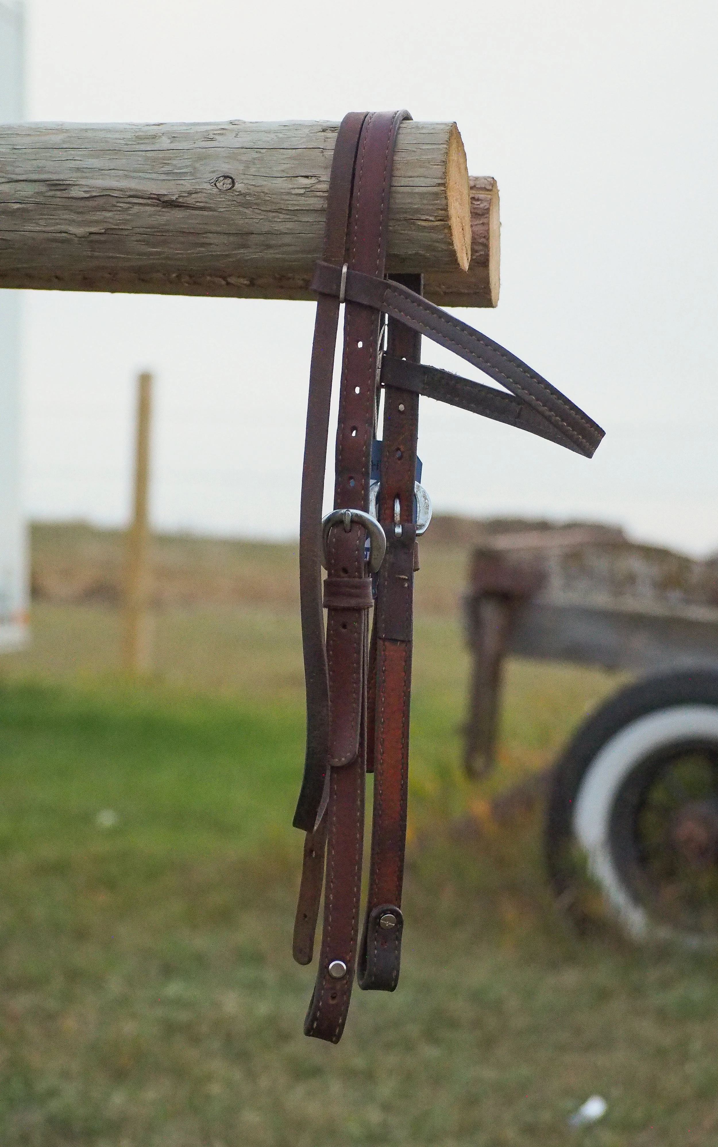 Leather Browband Headstall