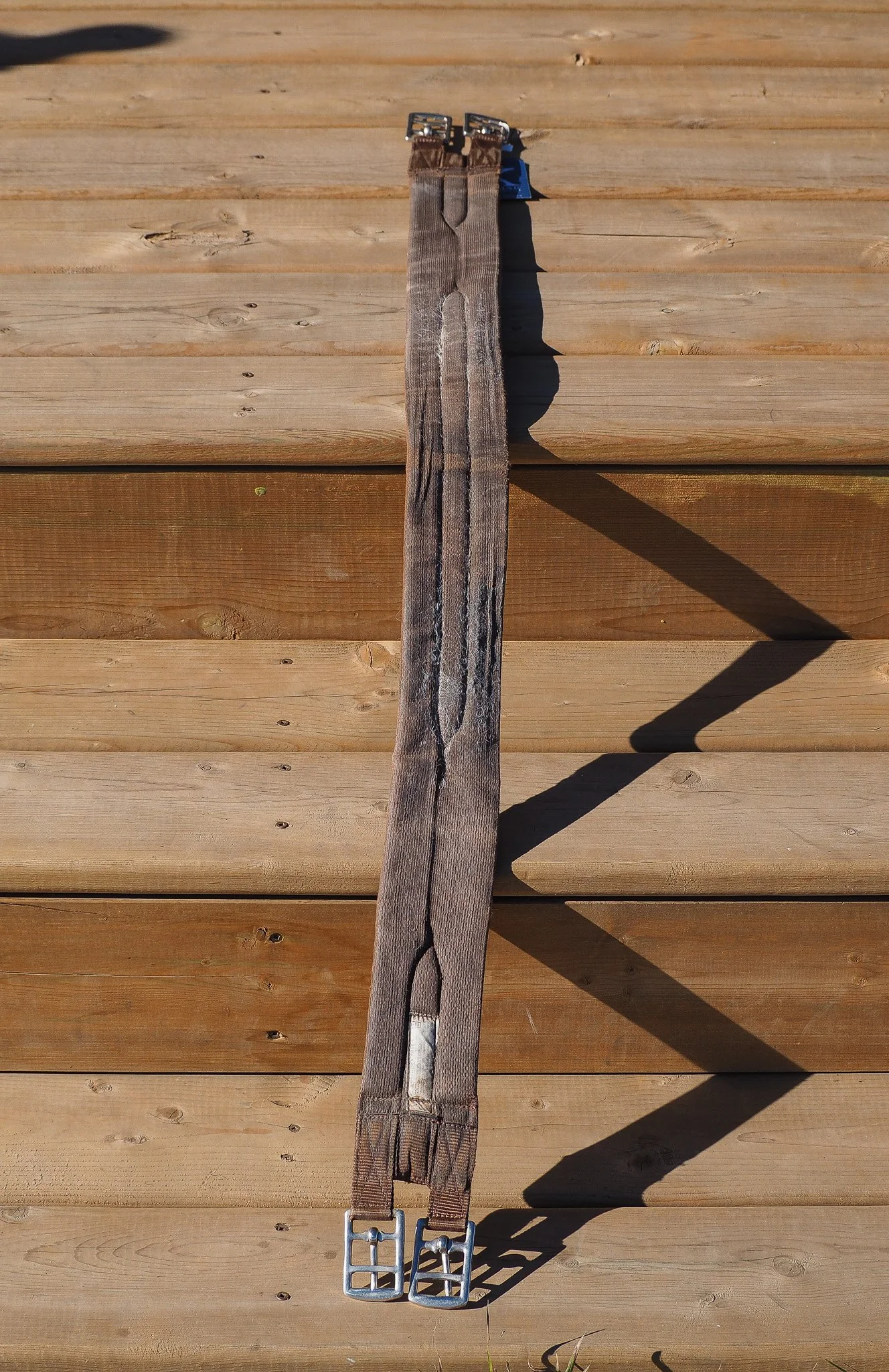 PA140095.jpg