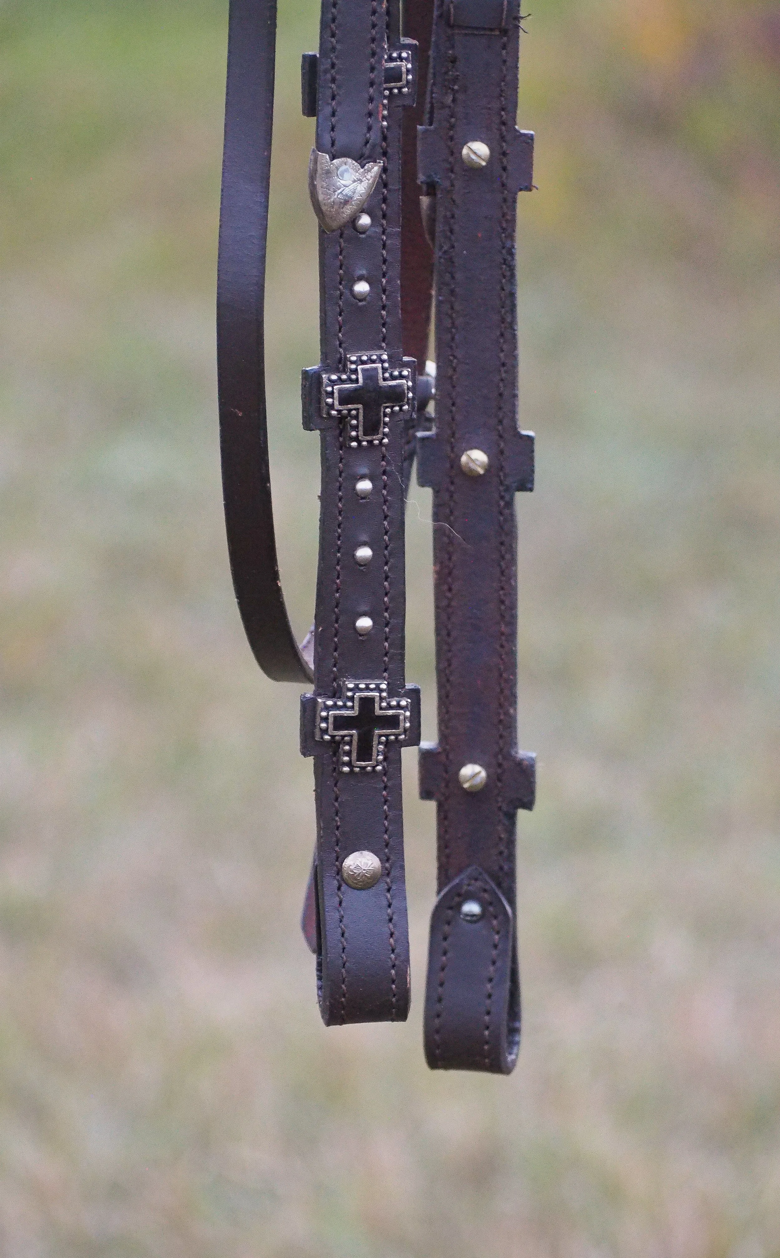 PA010564.jpg