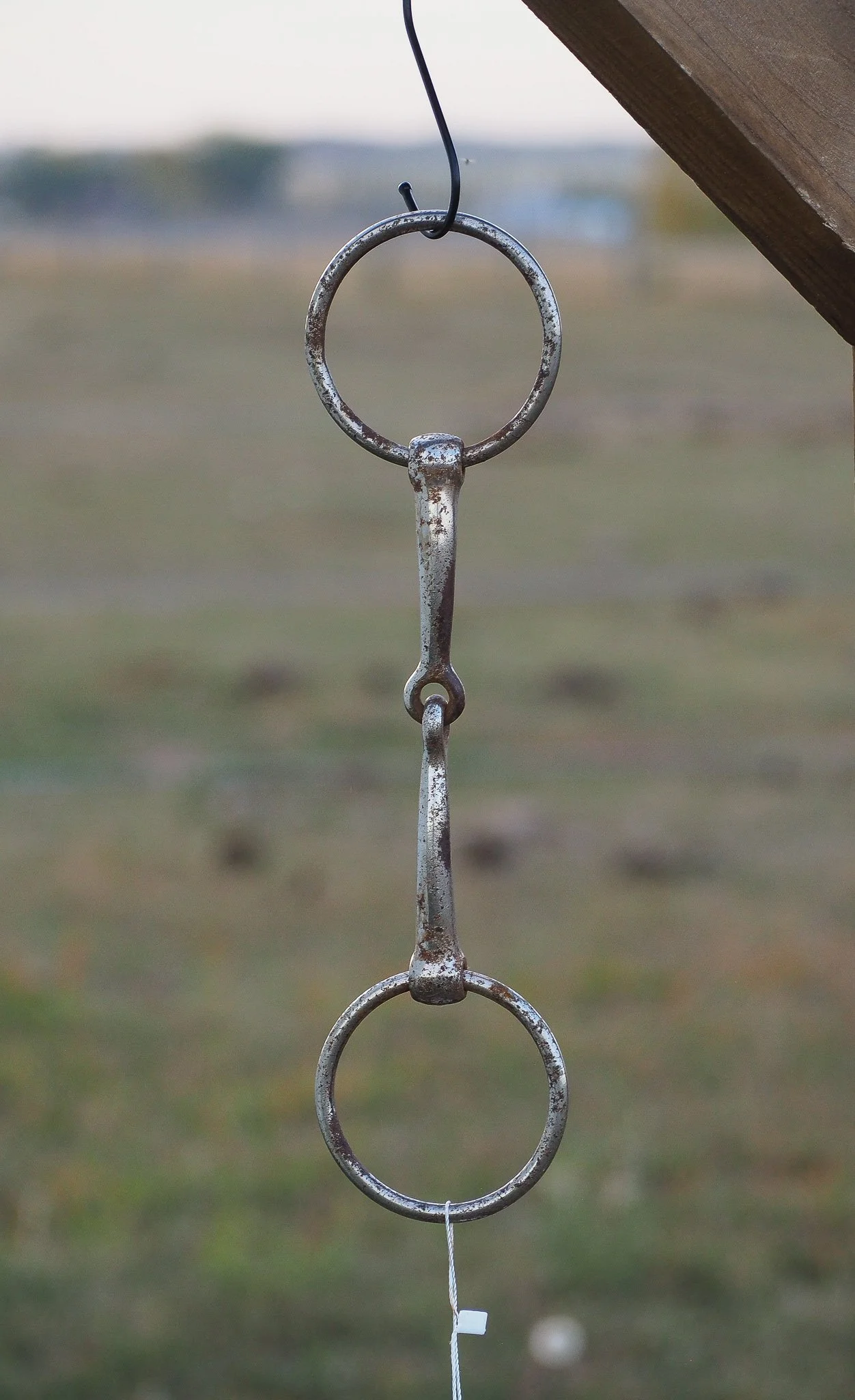 PA030621.jpg