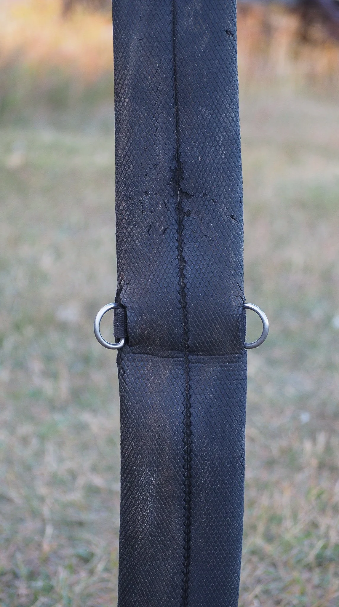 PA030546.jpg