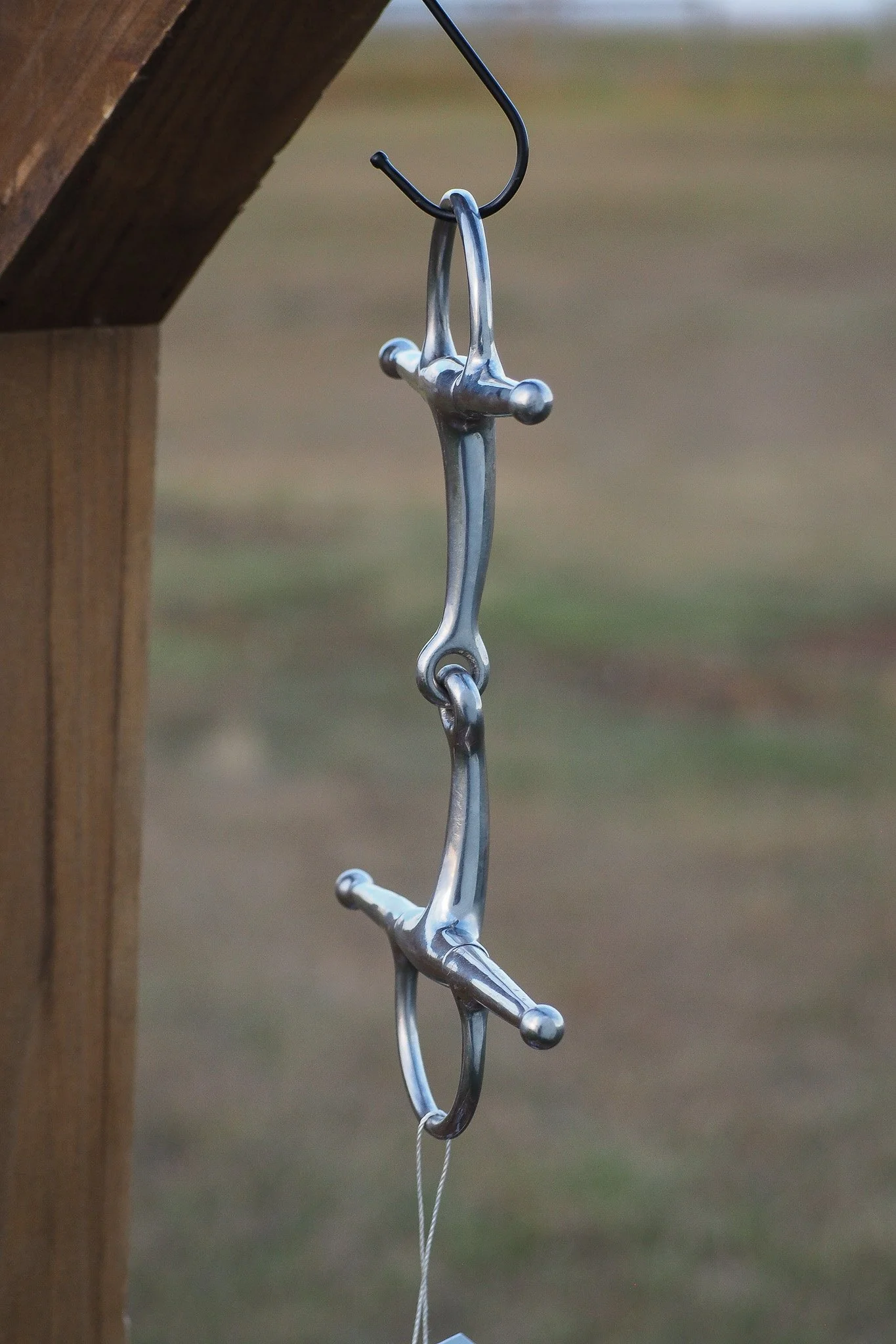 PA030645.jpg