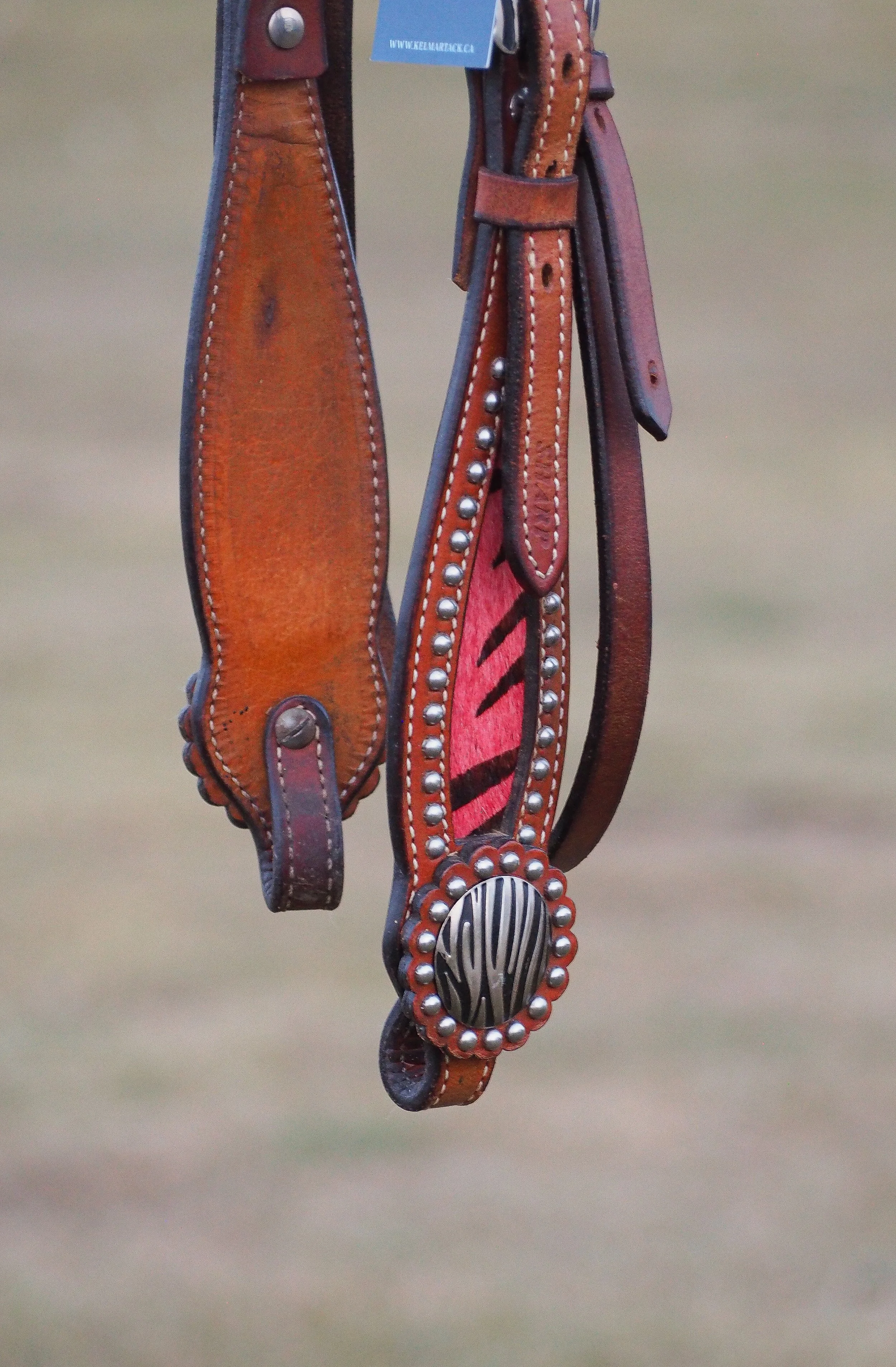 PA010553.jpg