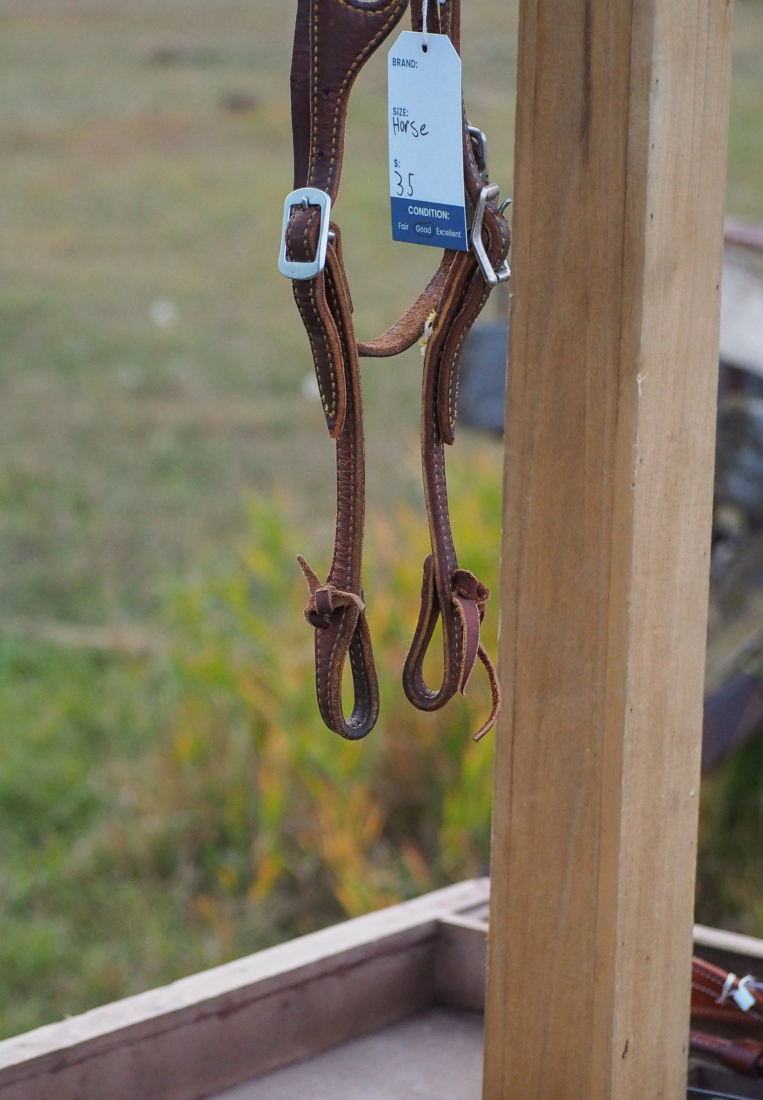 PA010503.jpg