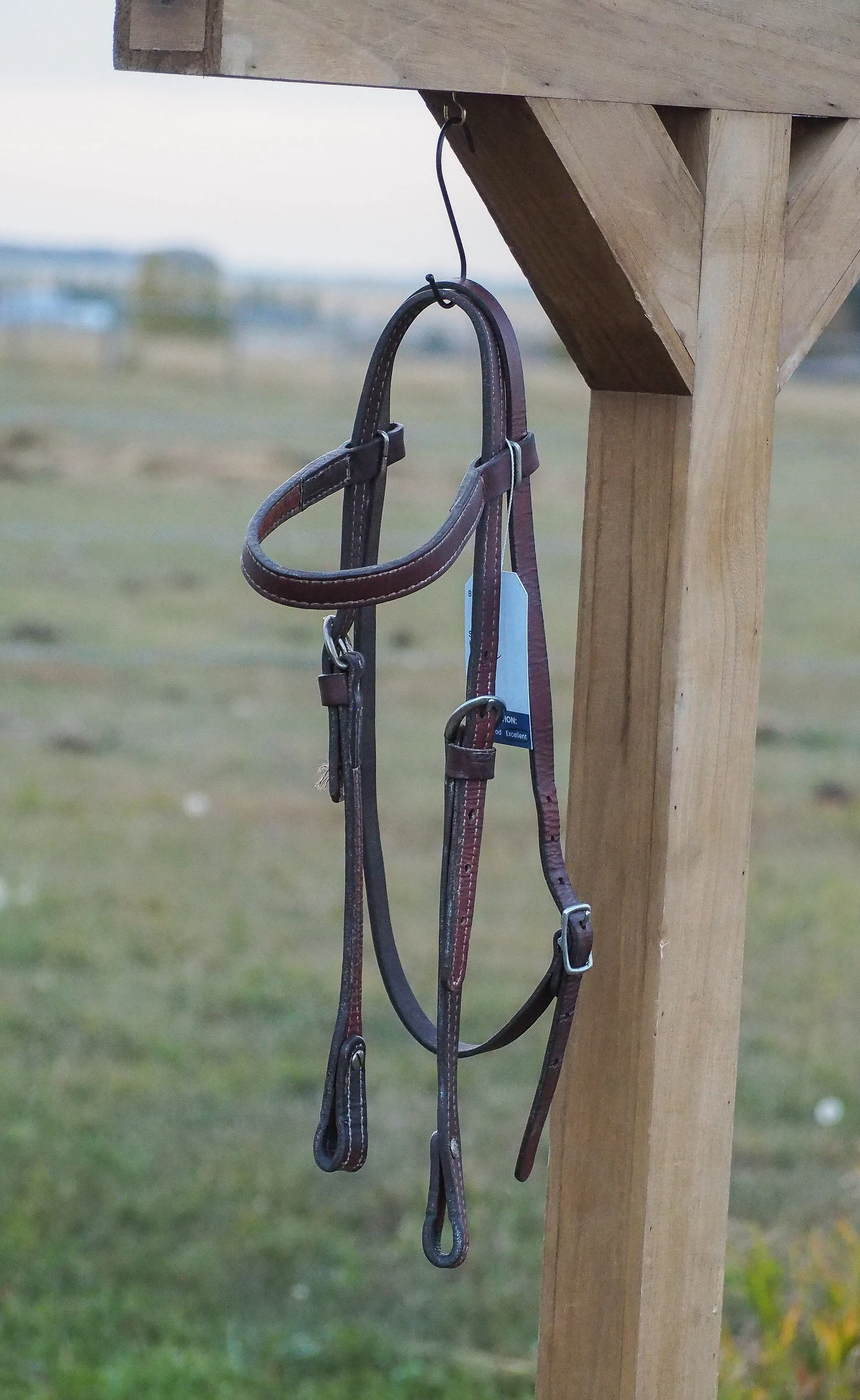 Browband Leather Headstall