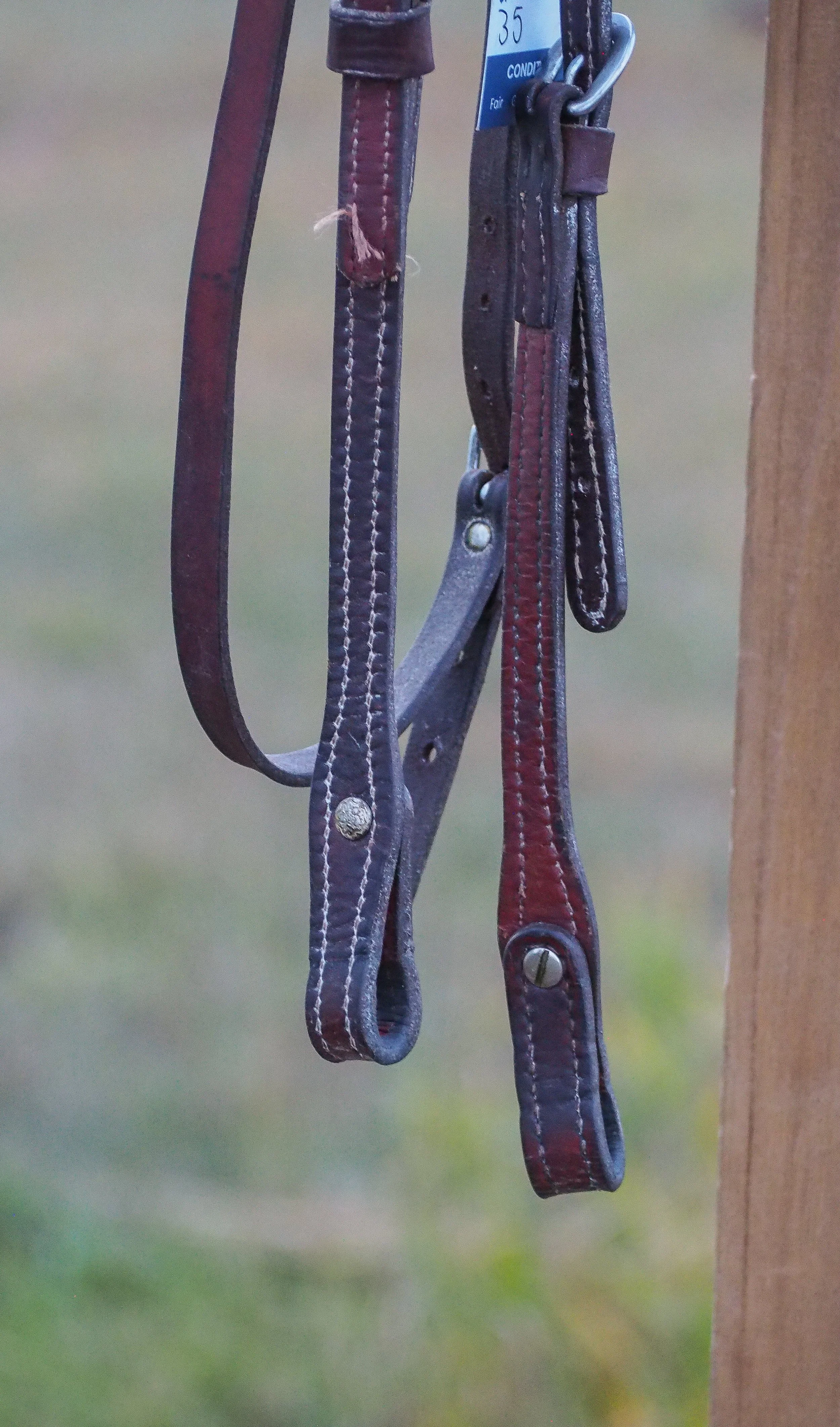 PA010528.jpg