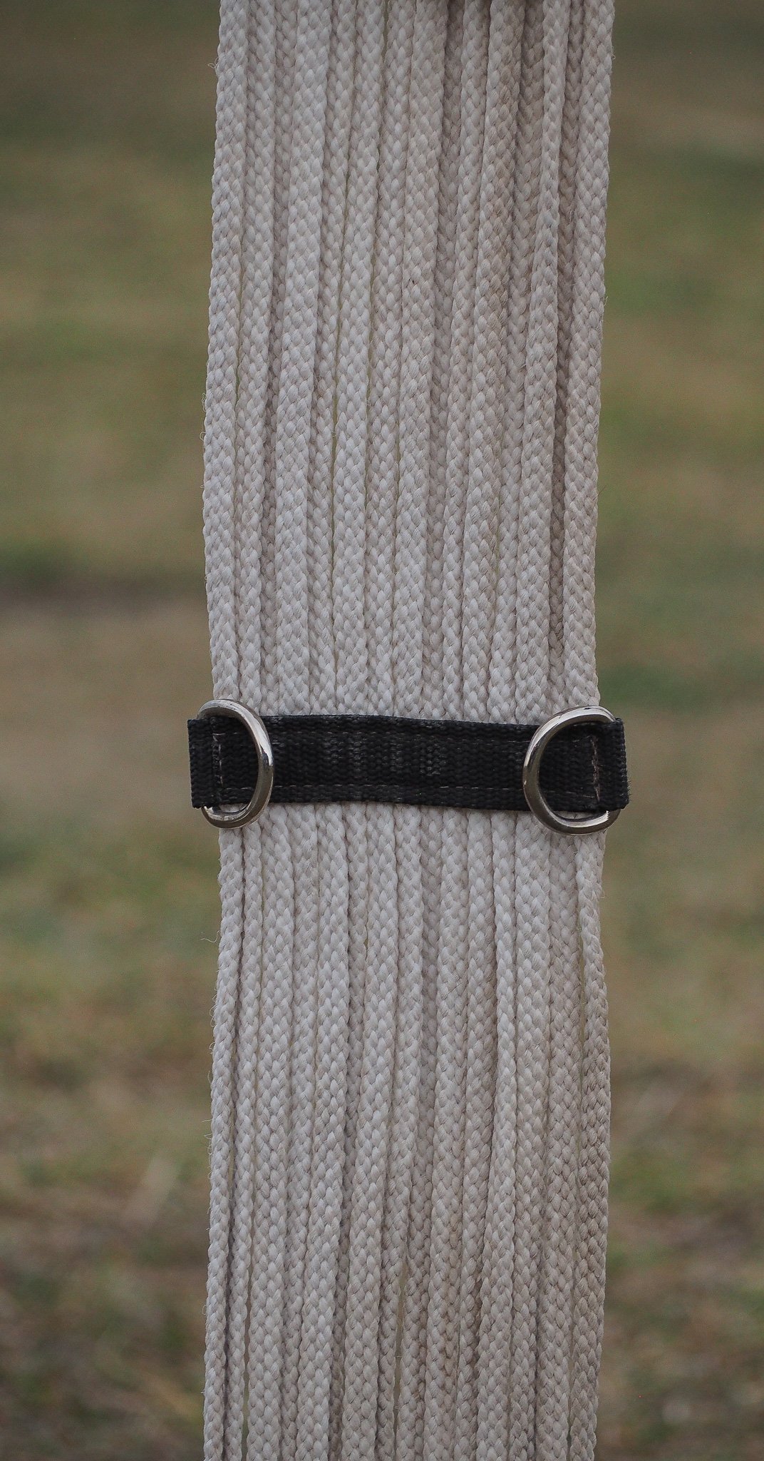 PA020561.jpg