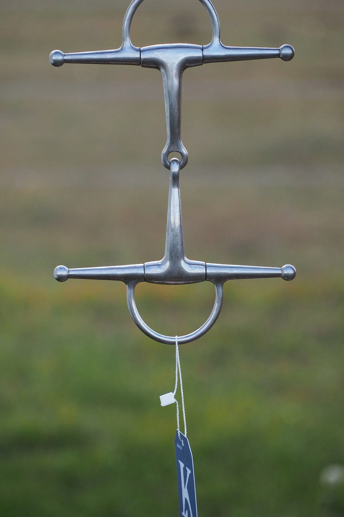 PA030639.jpg