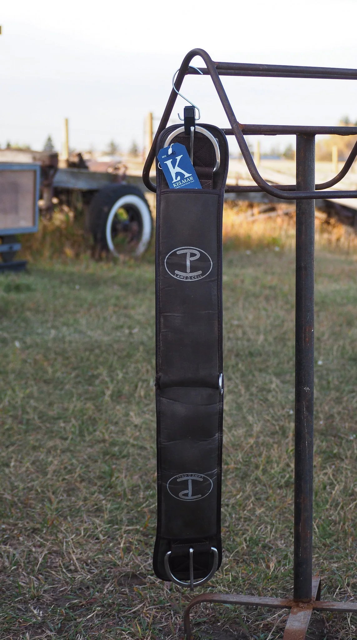 PA030537.jpg