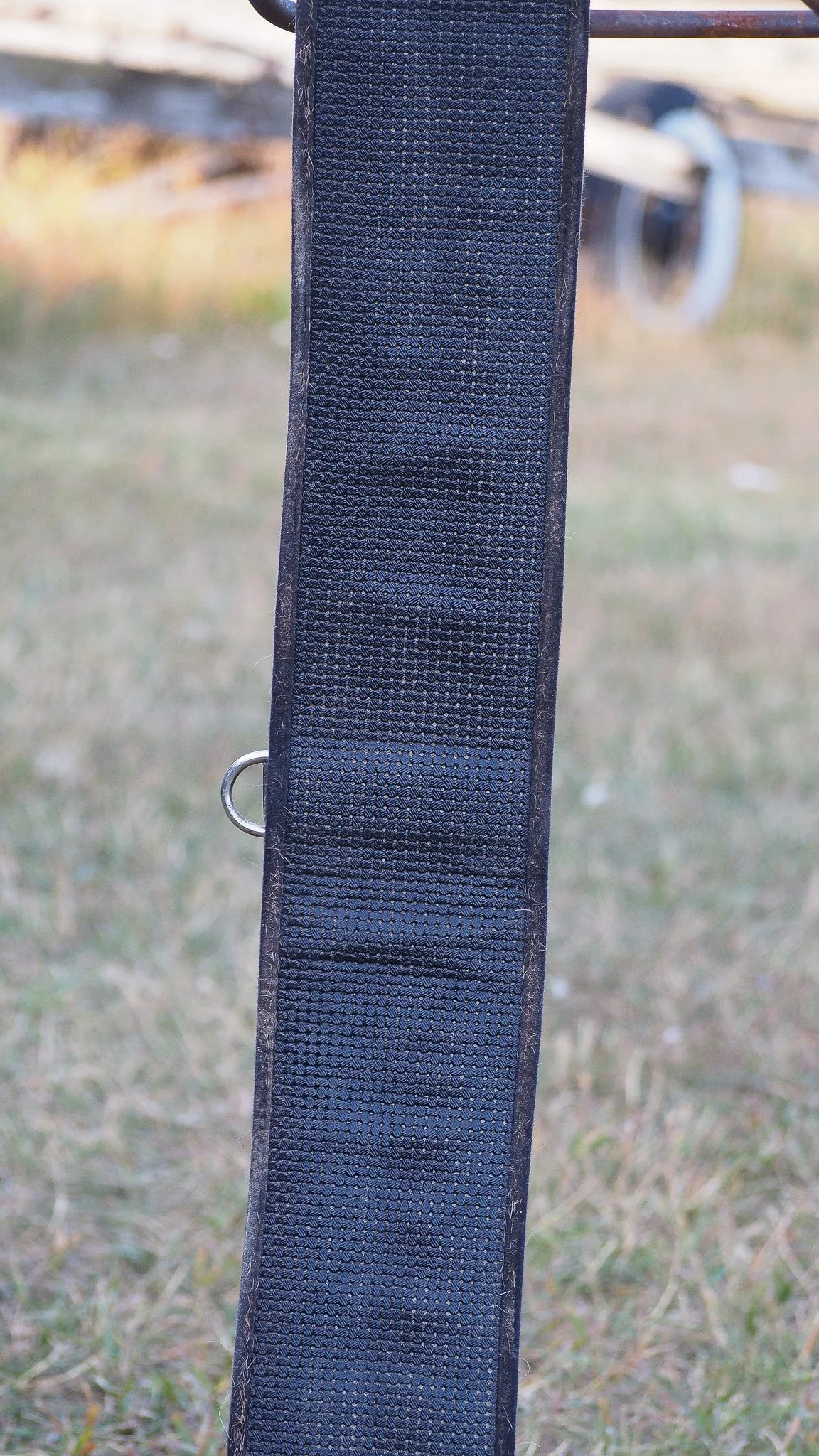 PA030524.jpg