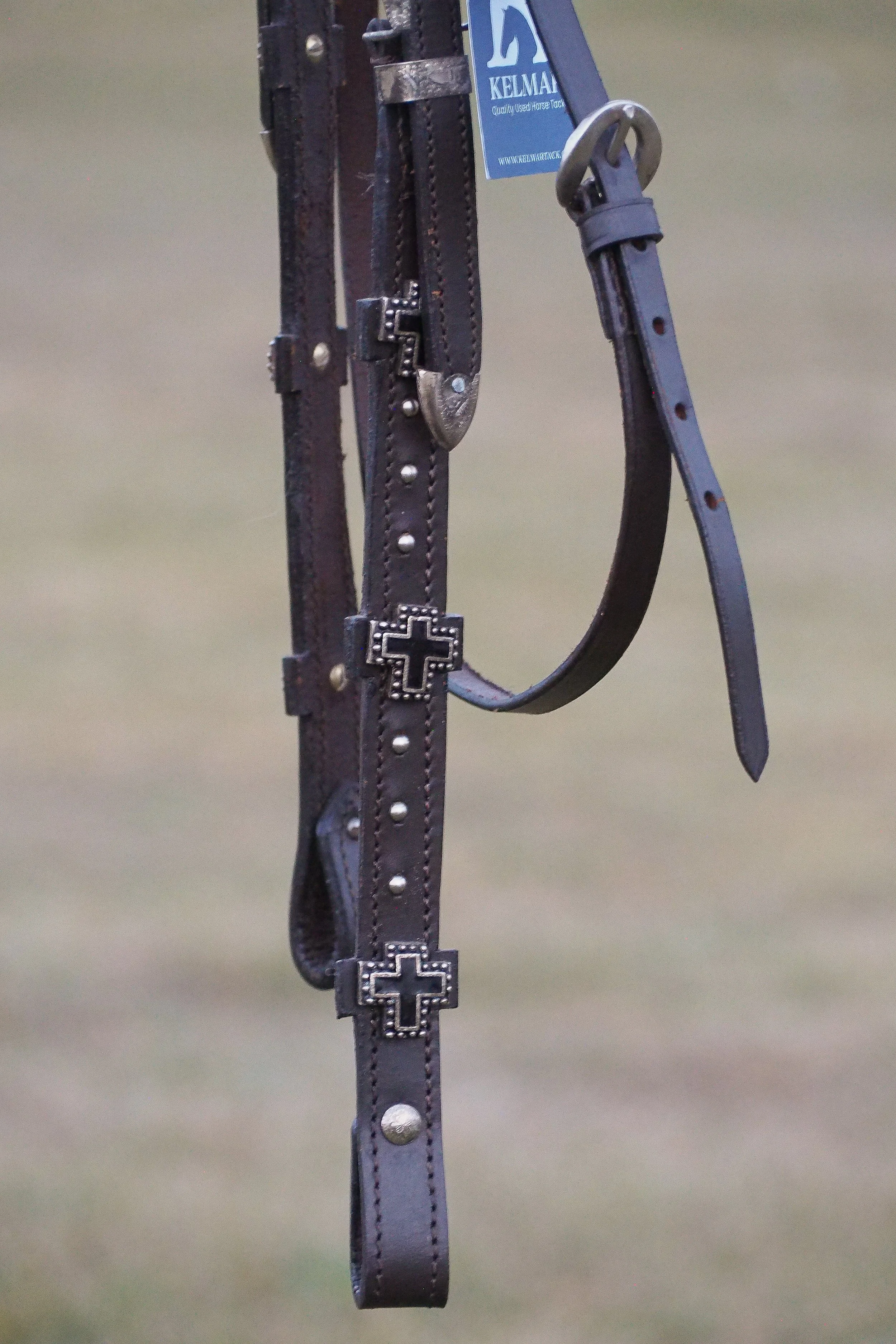 PA010566.jpg