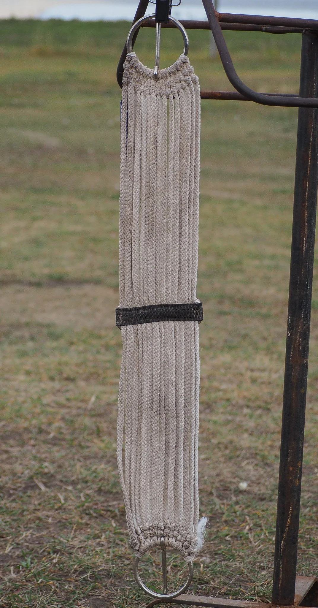 PA020562.jpg
