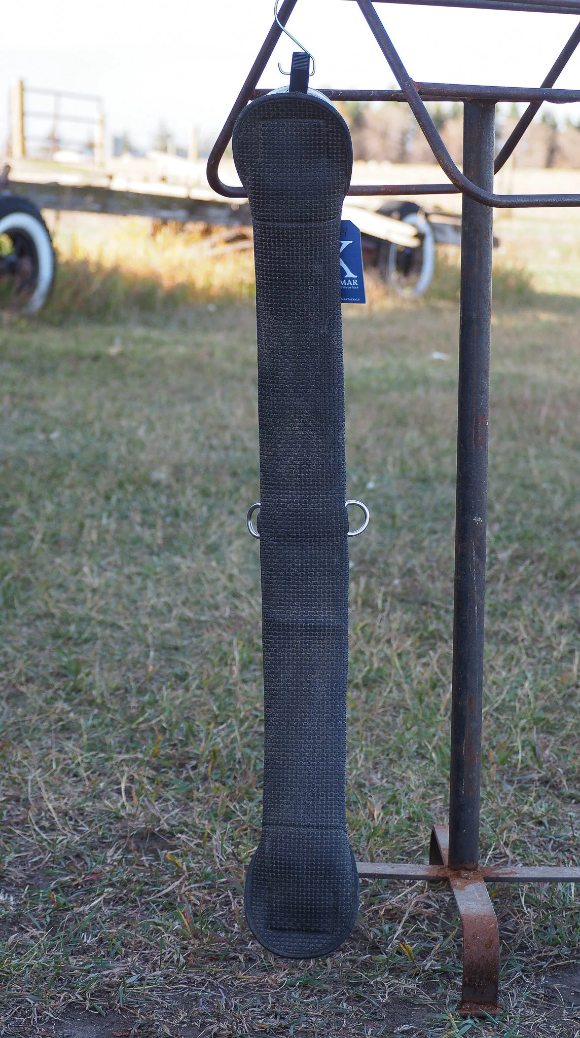 PA030497.jpg