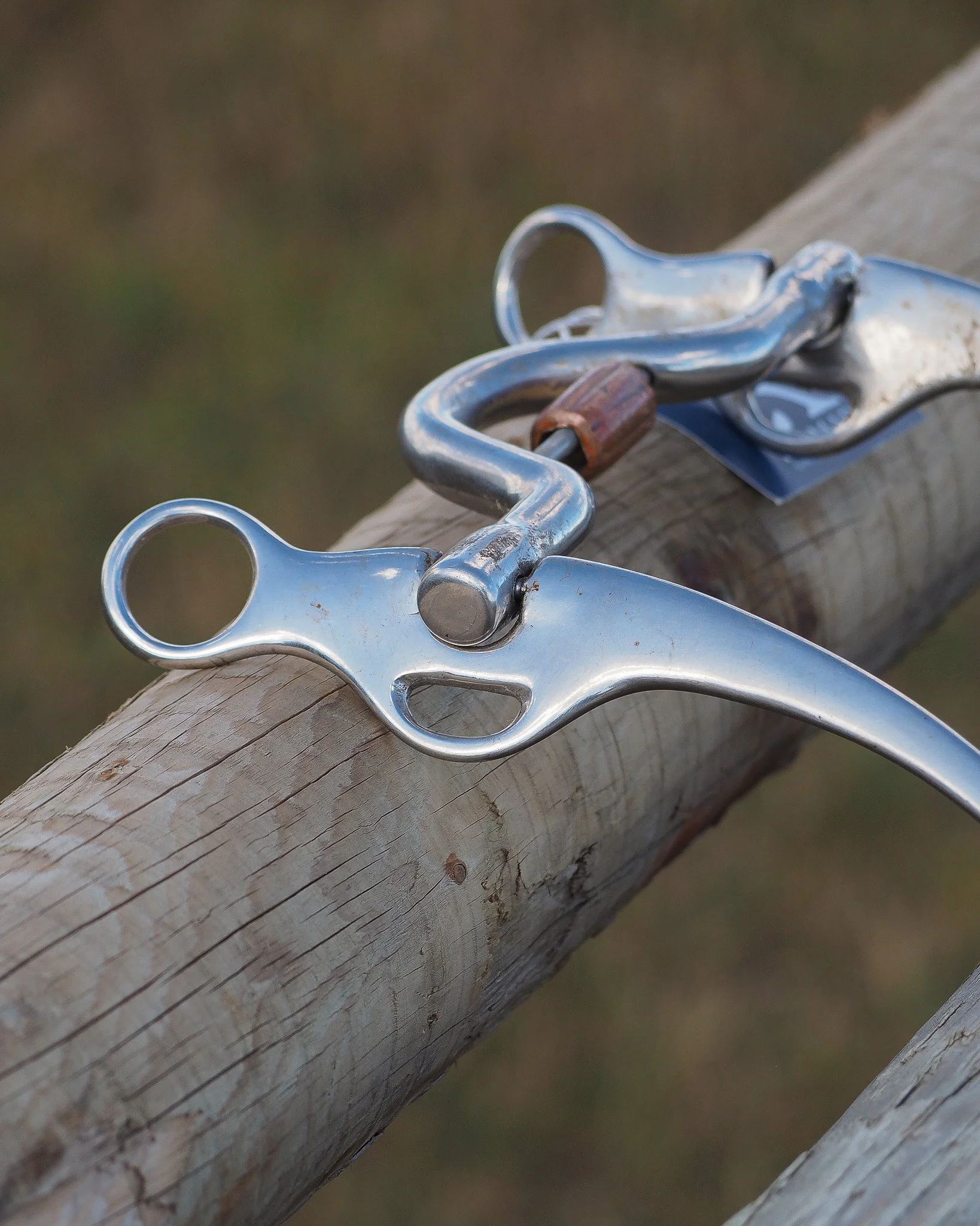 PA140025.jpg