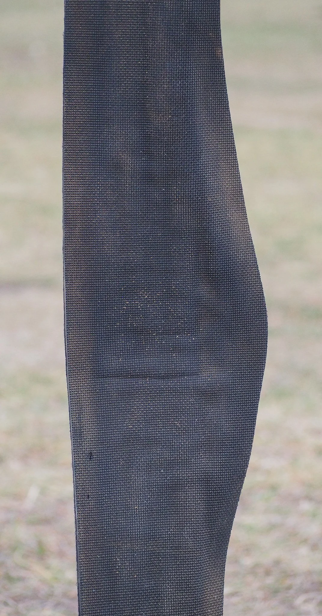 PA020508.jpg