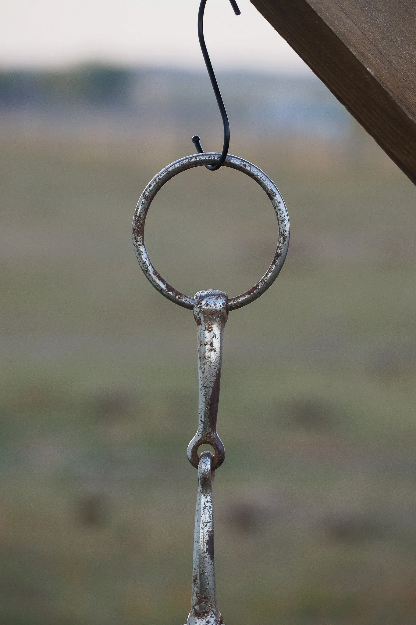PA030622.jpg