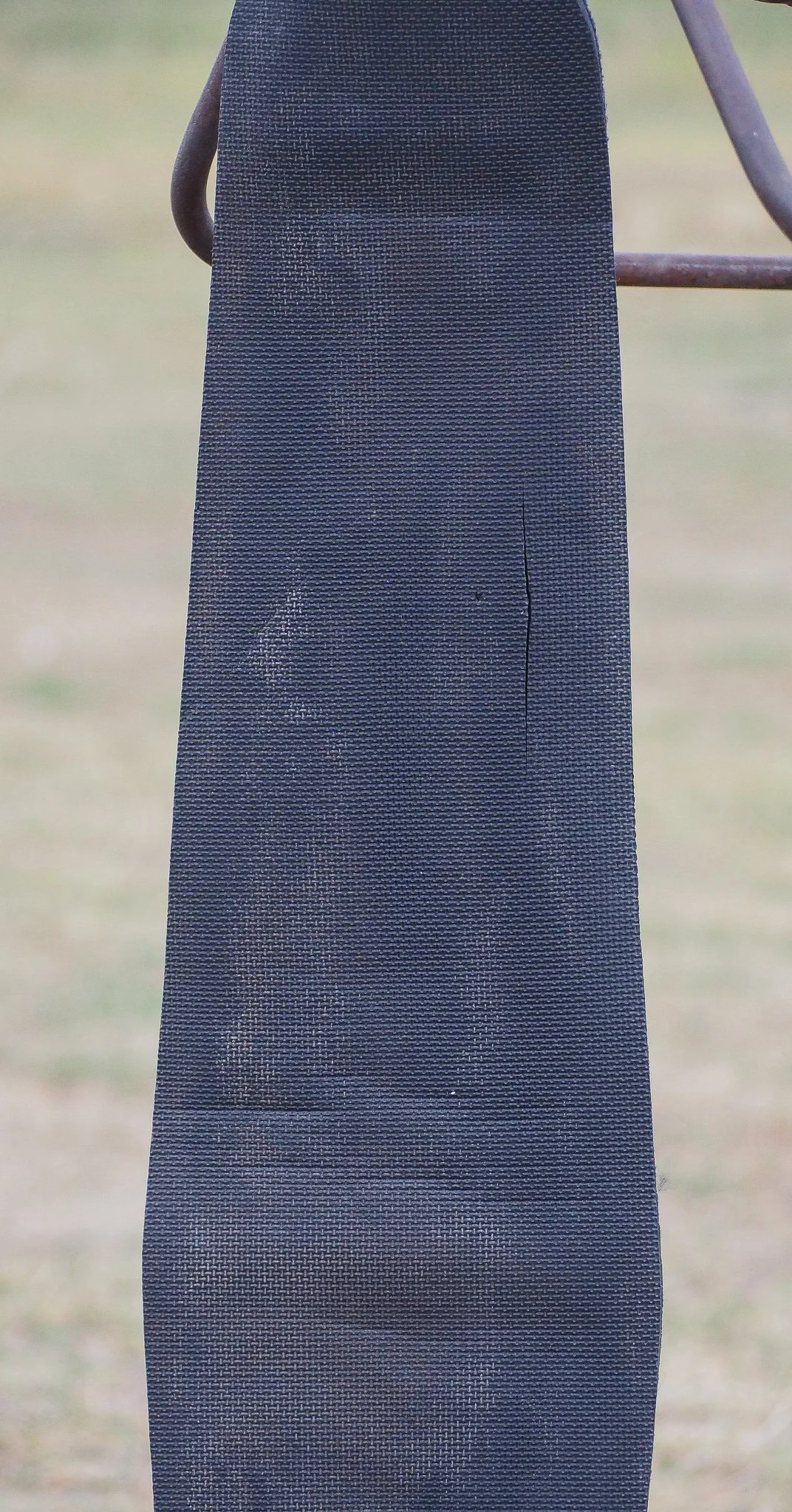 PA020503.jpg