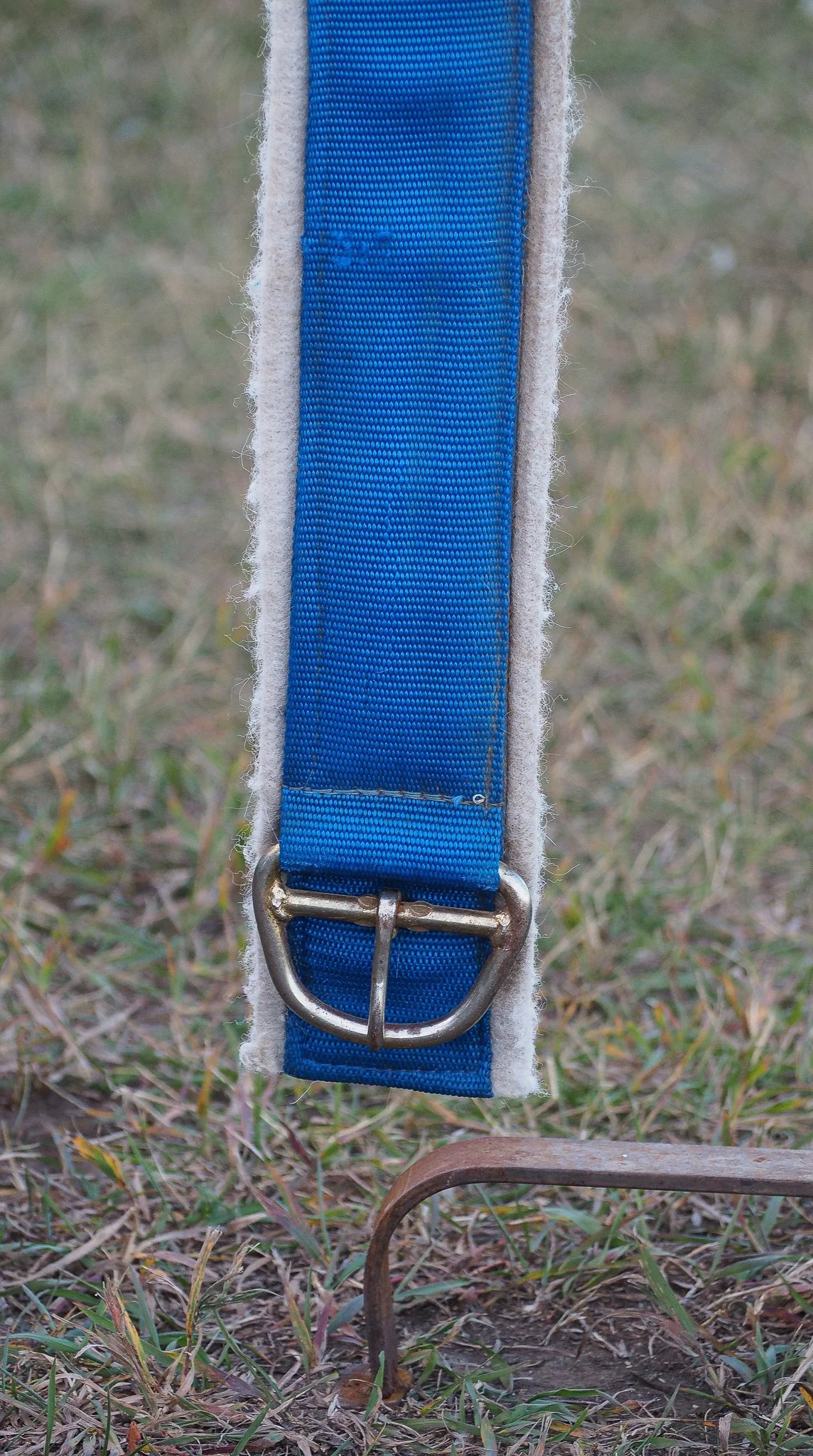 PA030551.jpg