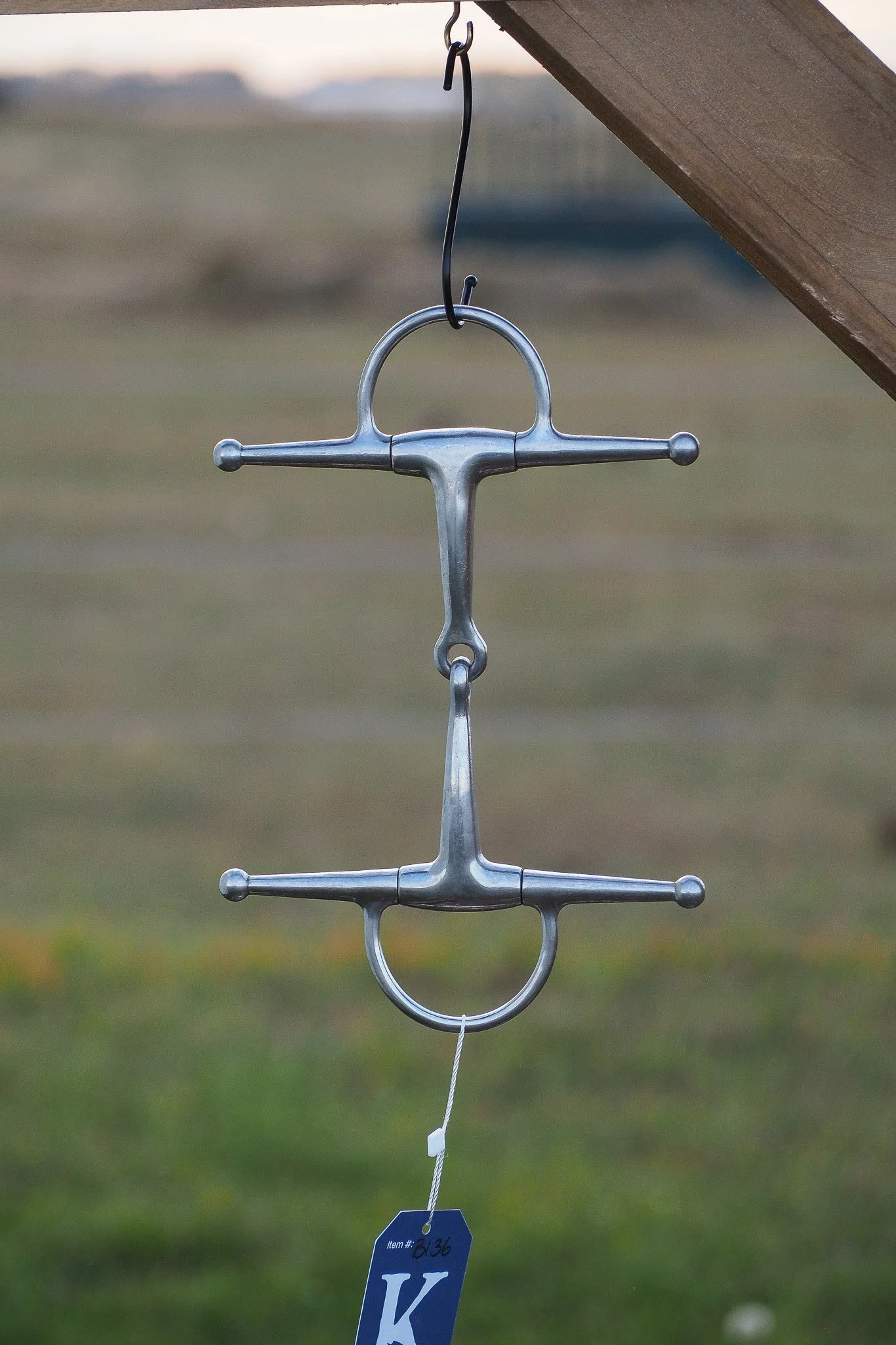 PA030637.jpg