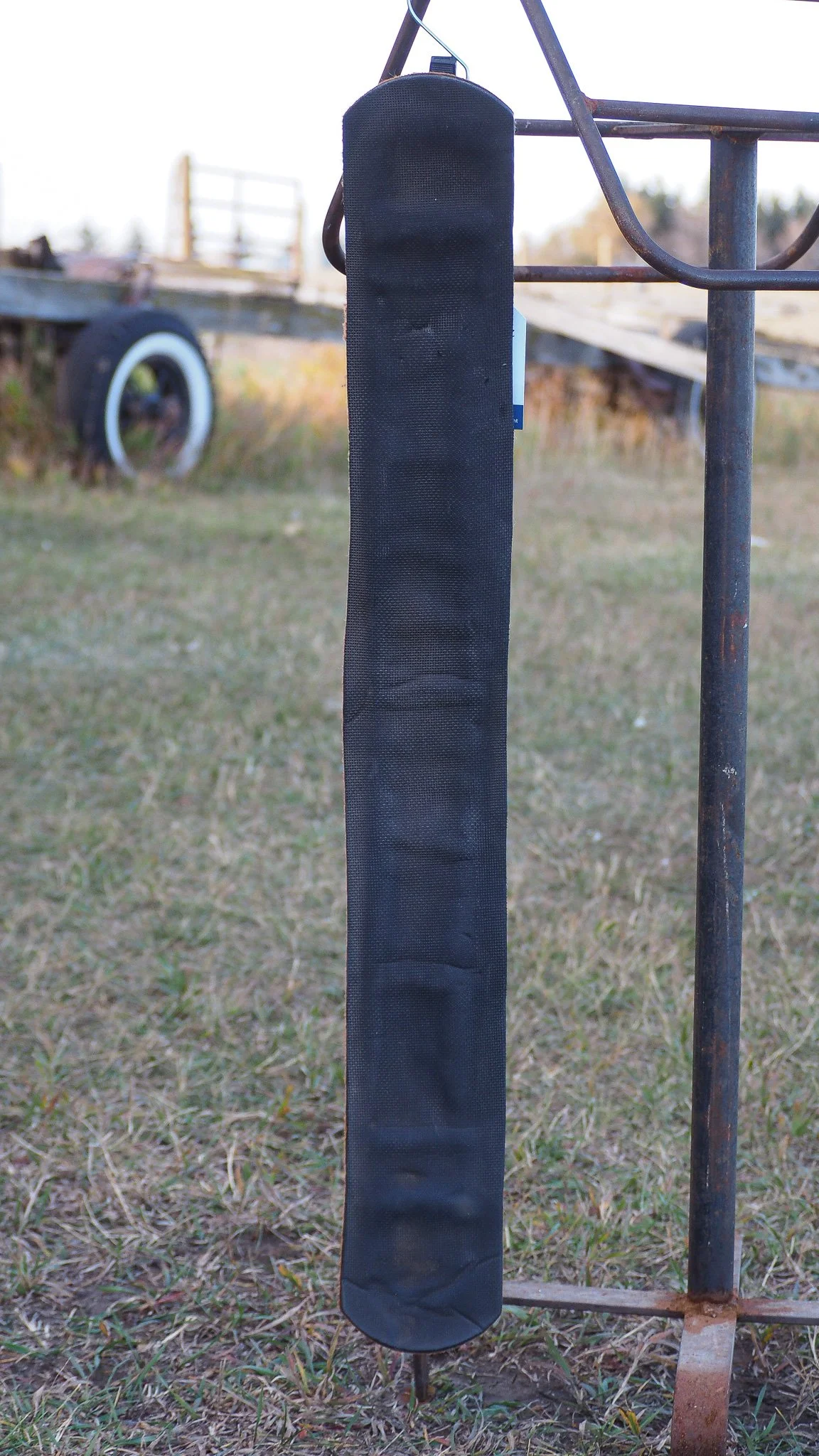PA030529.jpg