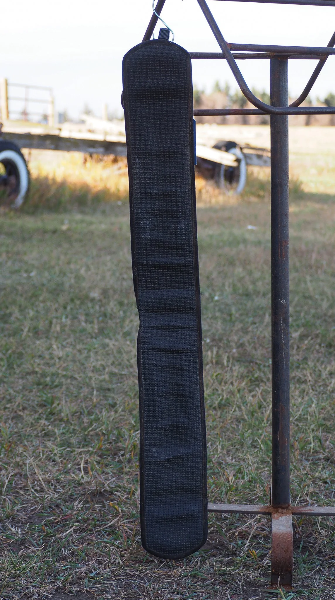 PA030504.jpg