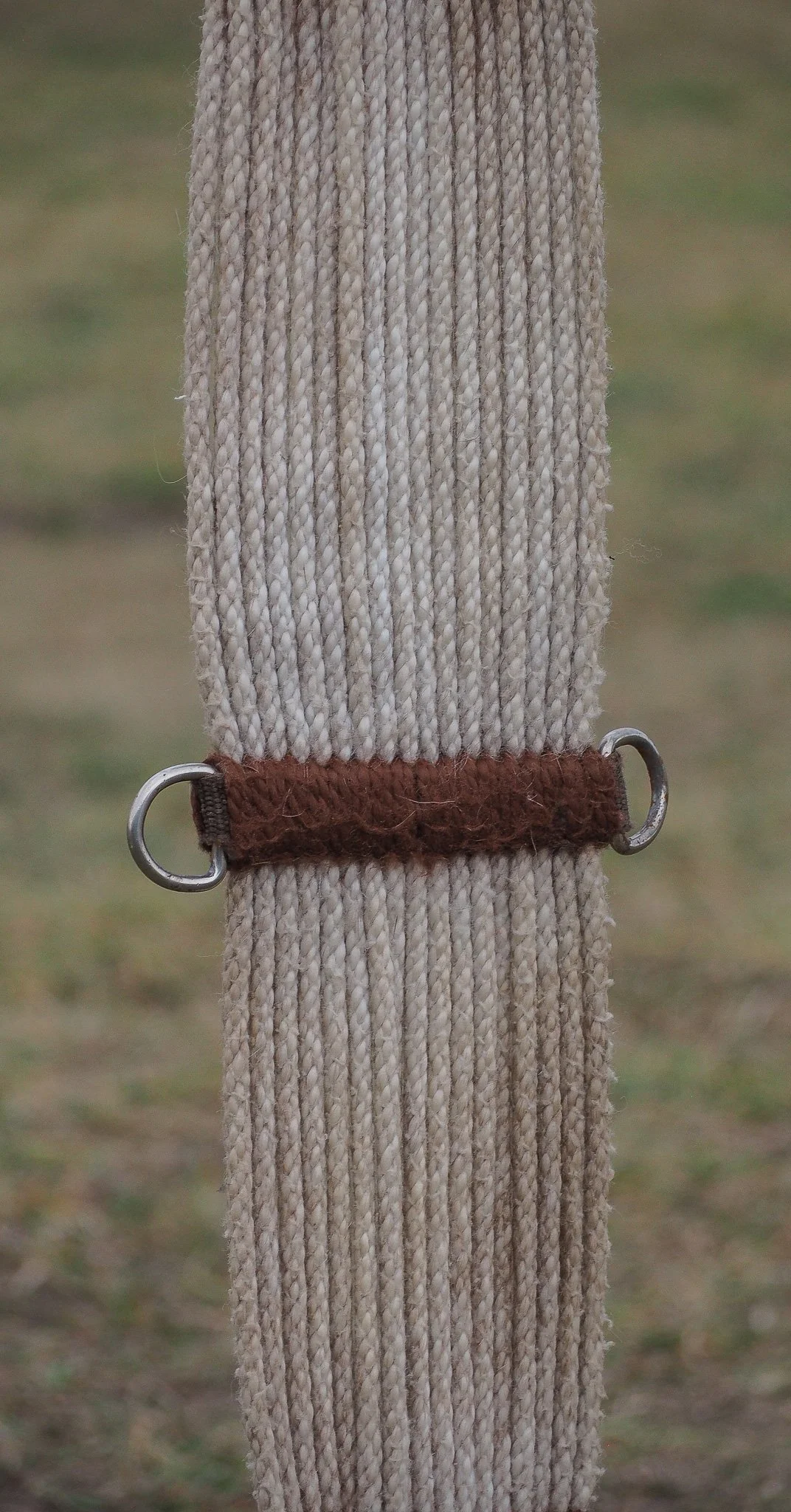 PA020579.jpg
