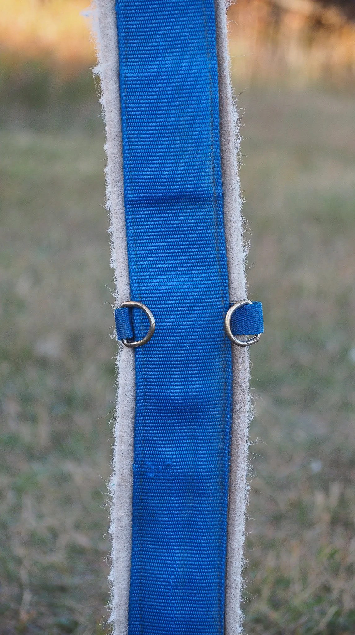 PA030552.jpg