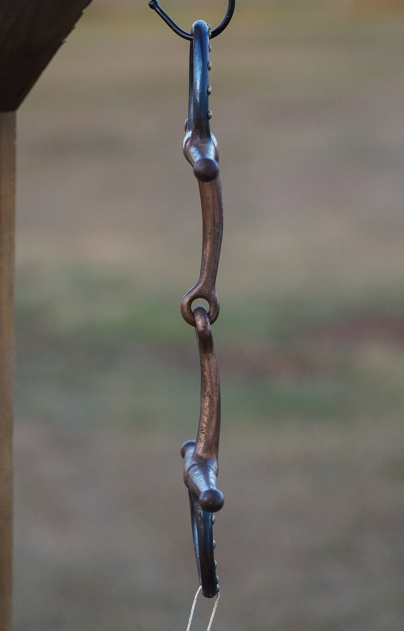 PA030672.jpg