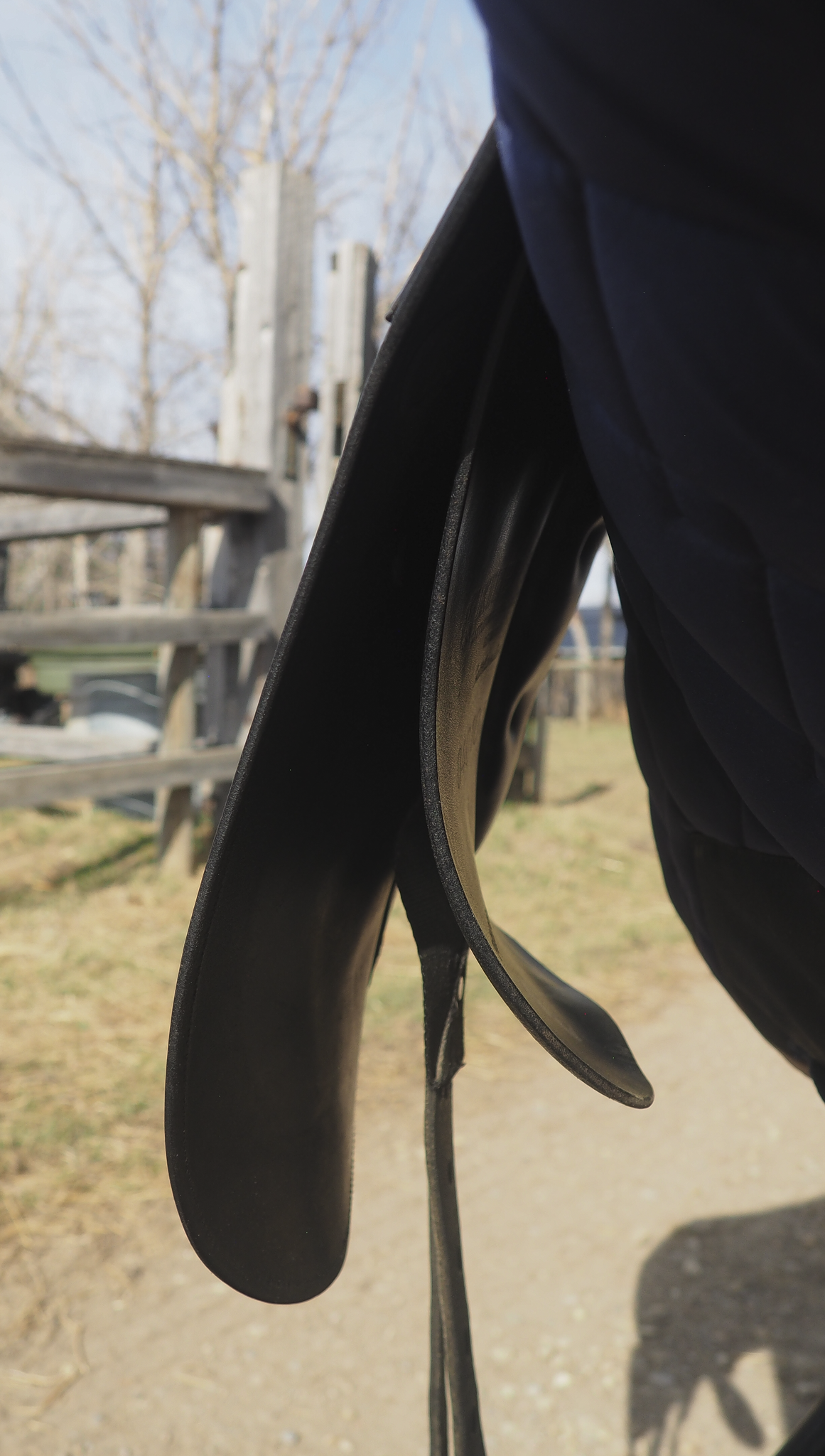 Keiffer Dressage (9).png