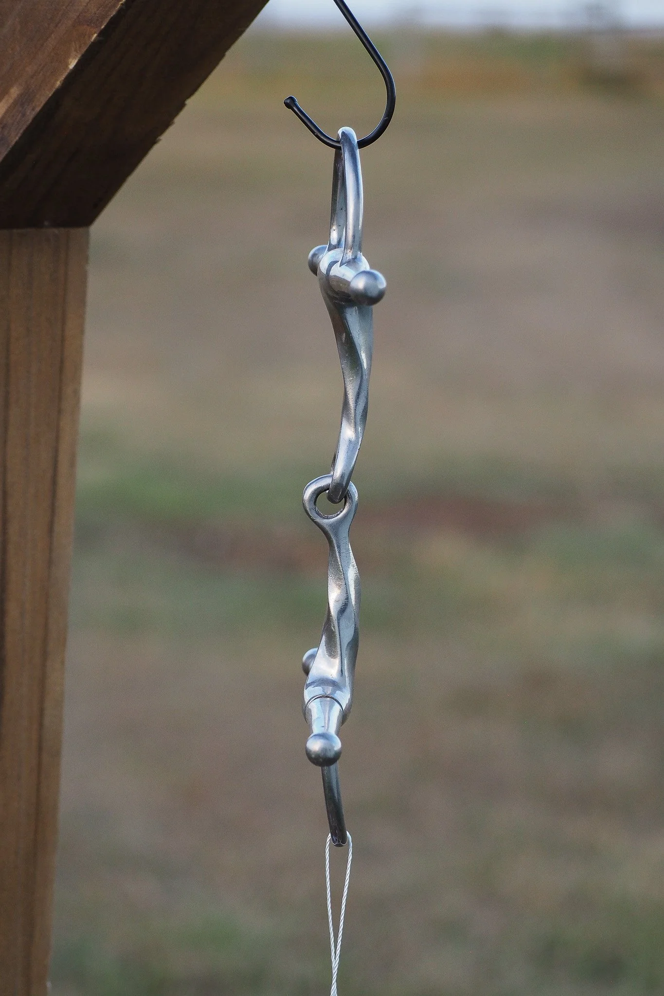 PA030649.jpg