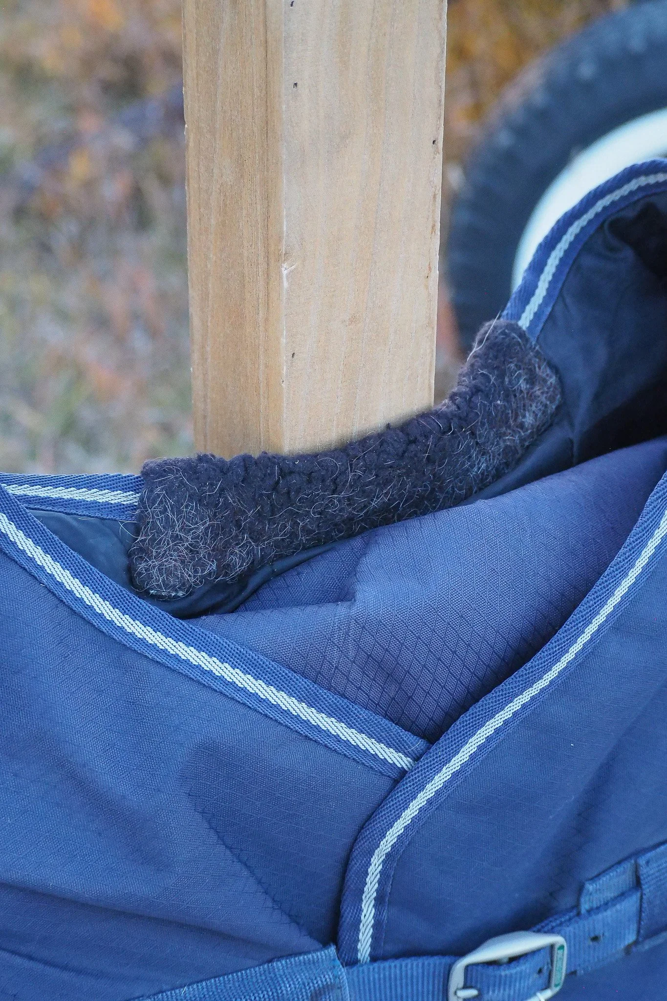 PA220244.jpg