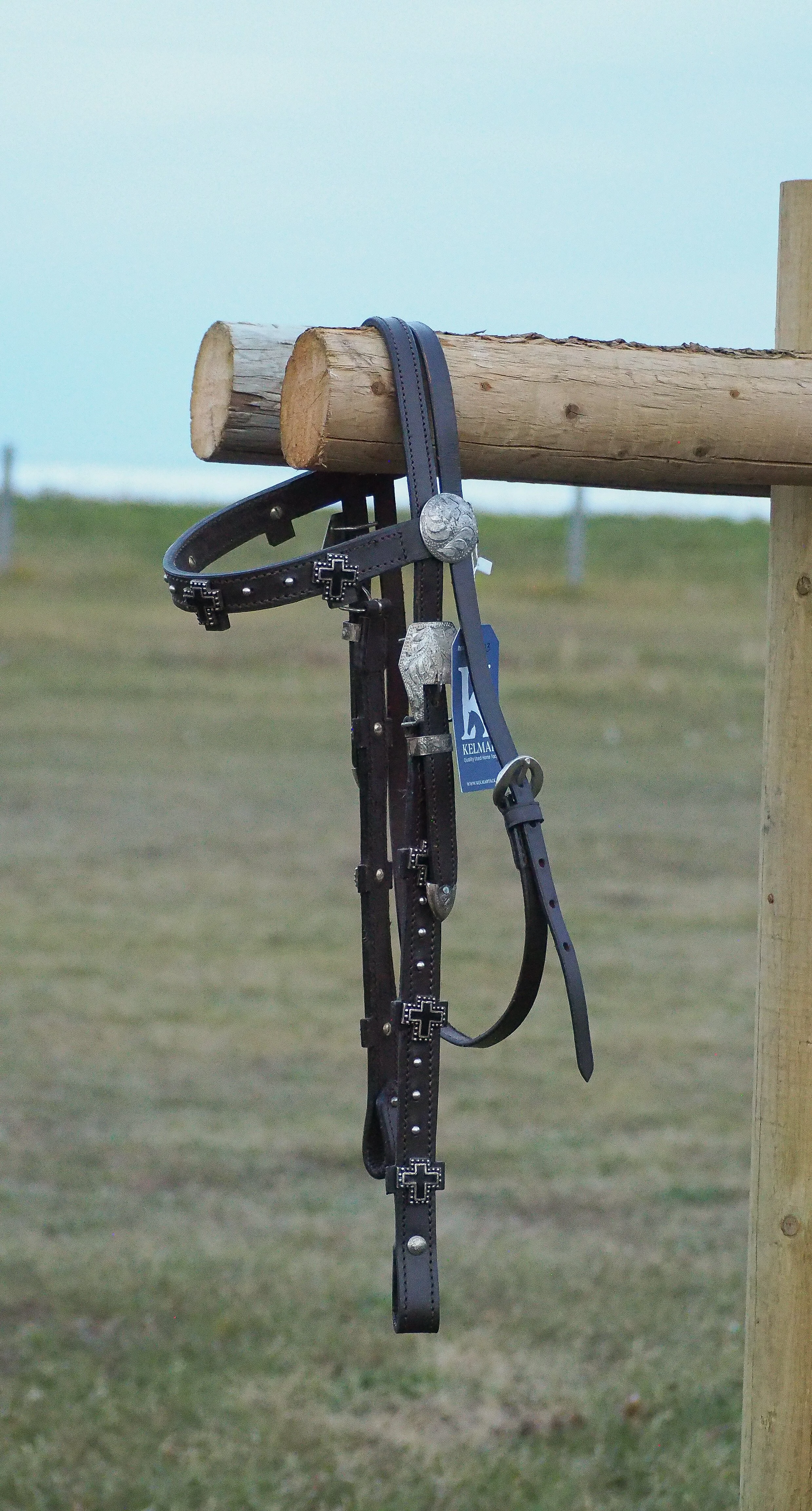 PA010565.jpg