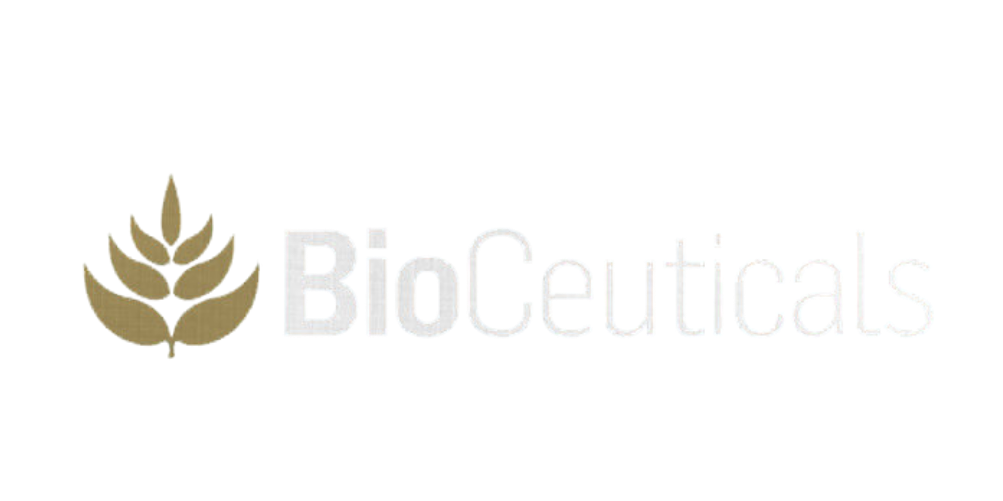Logo of Biolectrica with a stylized leaf and the company name in white letters.