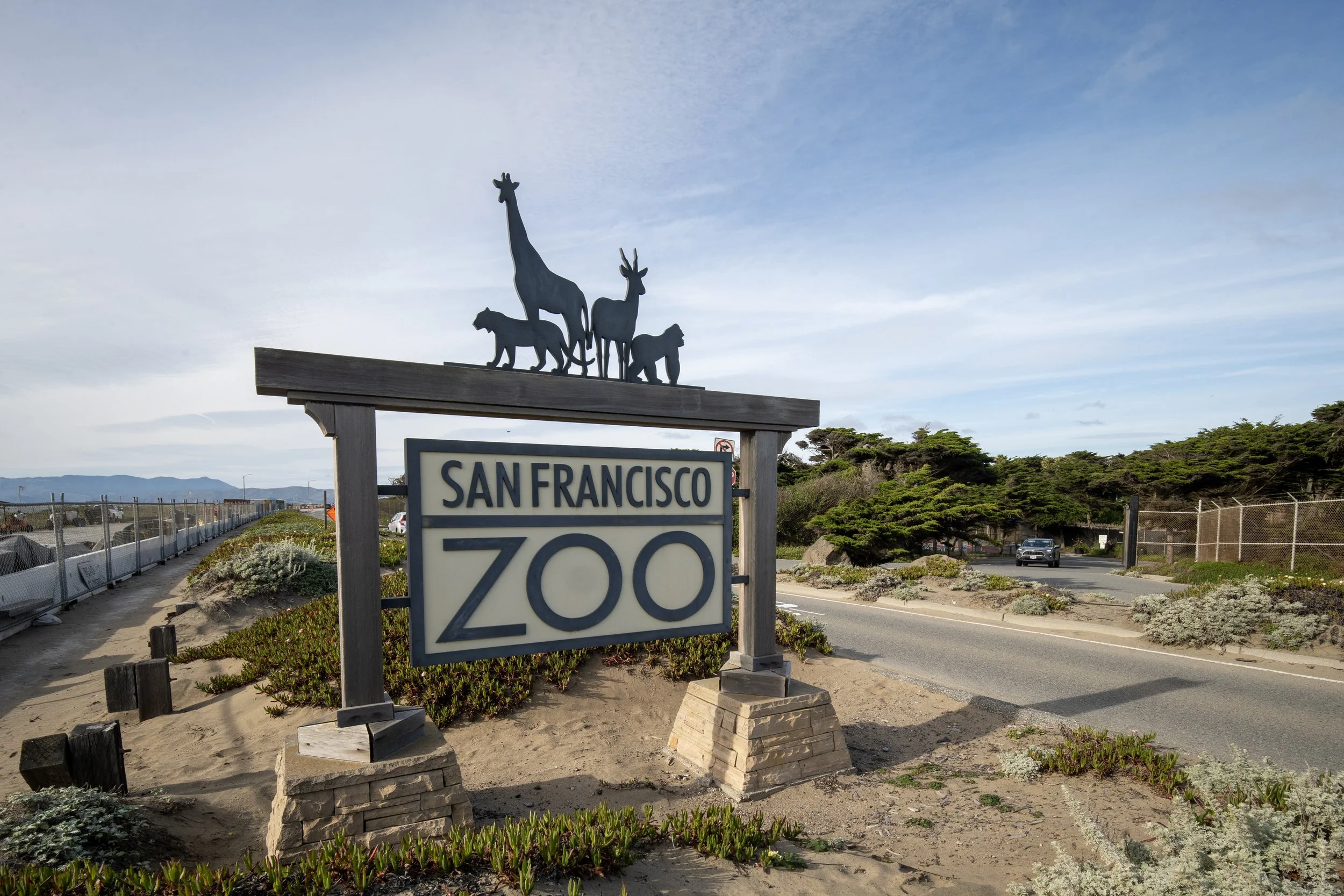 SF Zoo in talks to receive $8.5 million loan amid a fiscal emergency