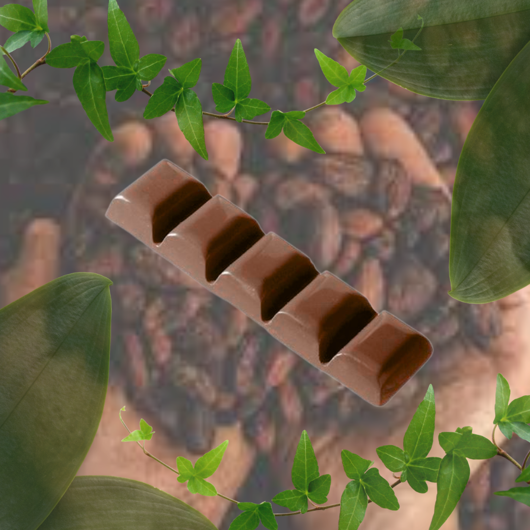 Adaptogenic Mushroom Cacao Bar