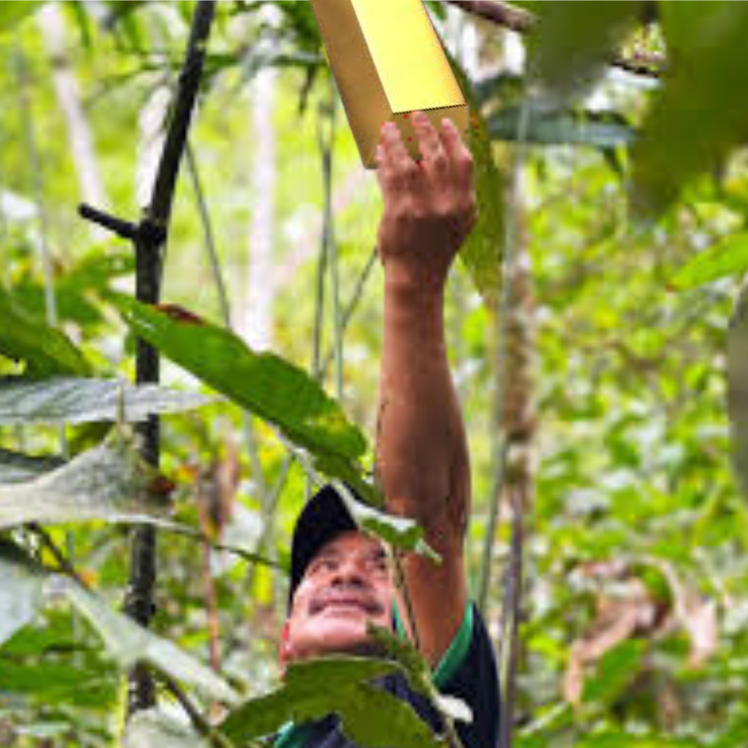 Untitled design (15).png