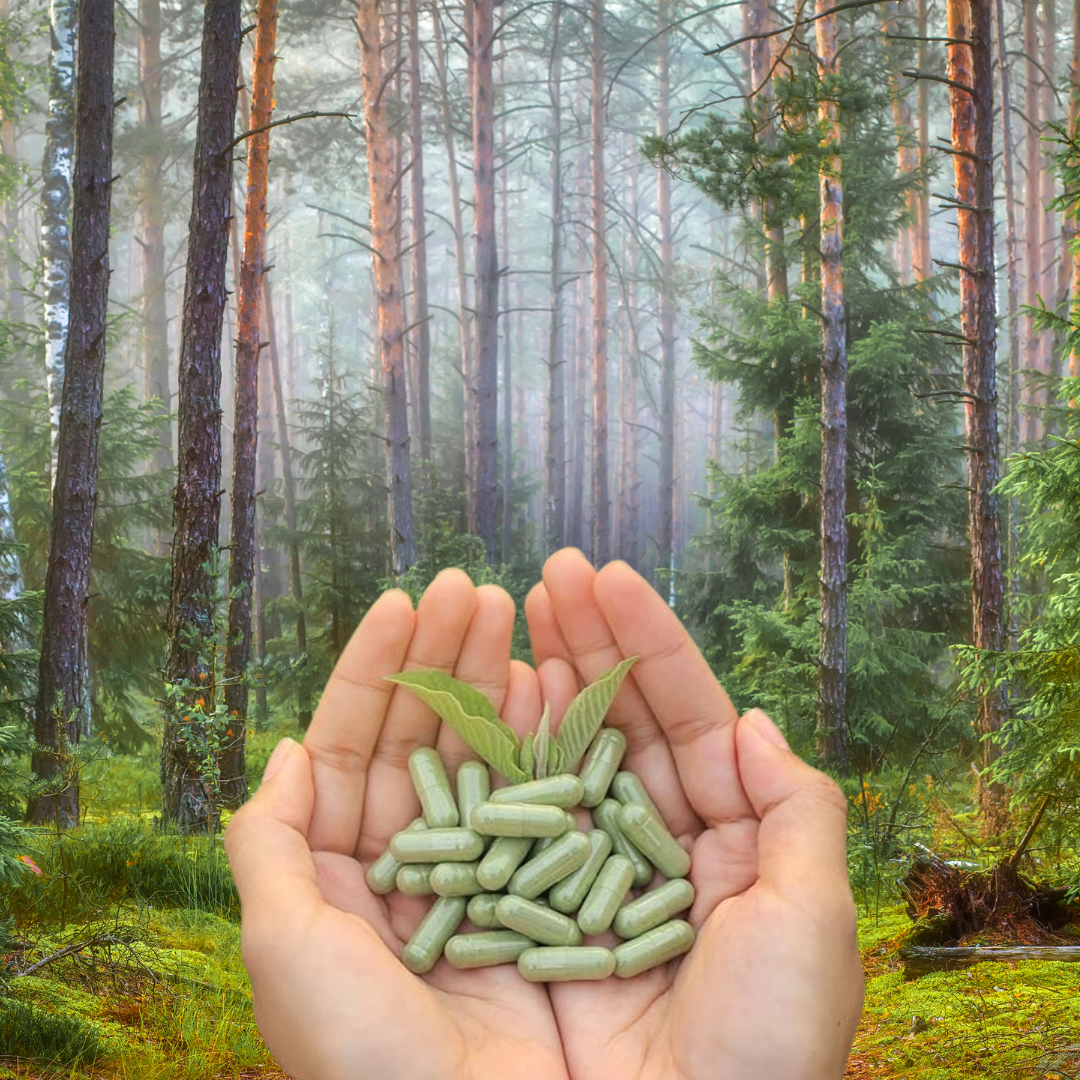 Untitled design (16).png