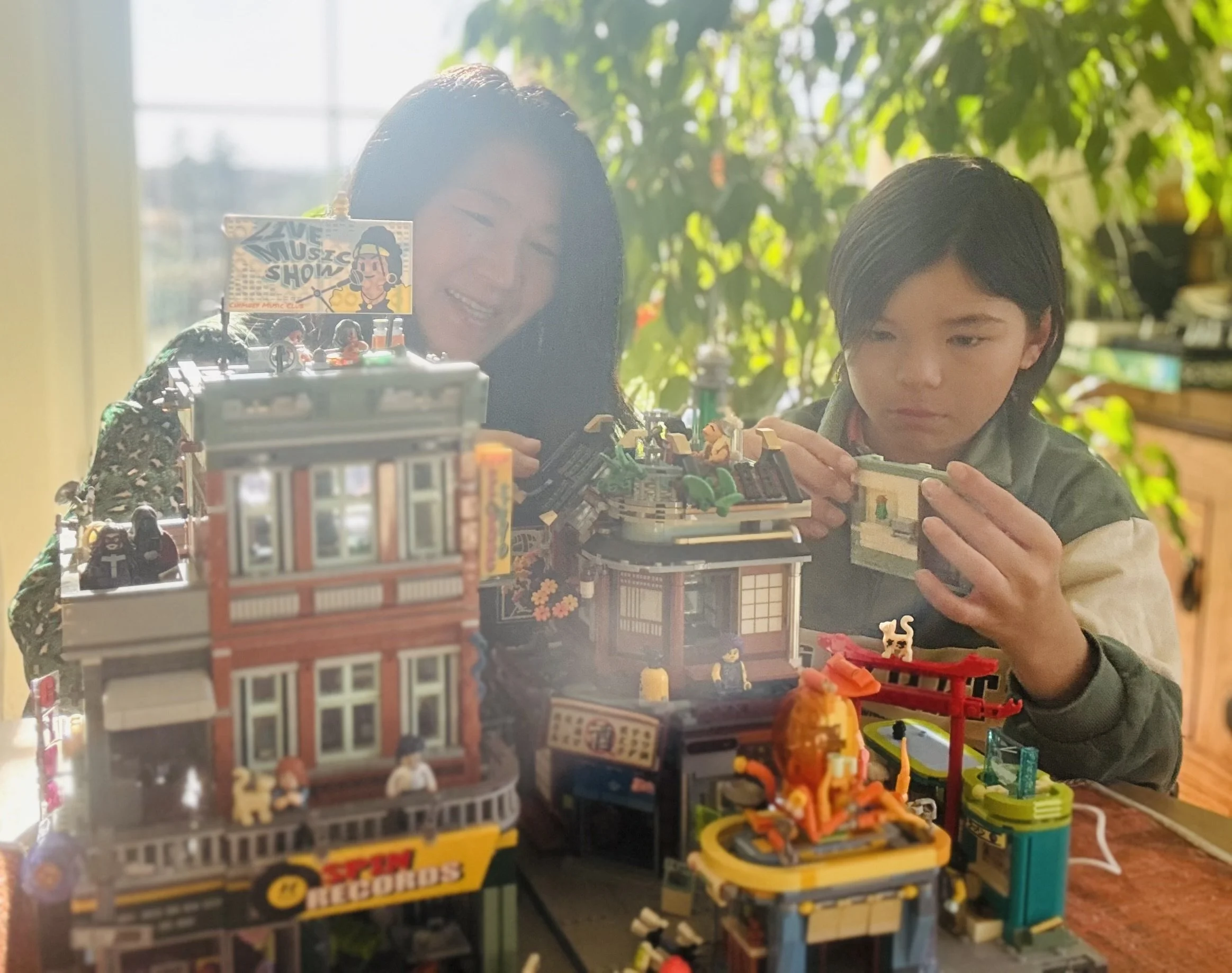 Nous sommes une société basée en Suisse, vers Lausanne et Genève, spécialisée dans la vente de set de briques de construction éclairables de la plus grande qualité.  Le meilleur cadeau pour toute la famille !