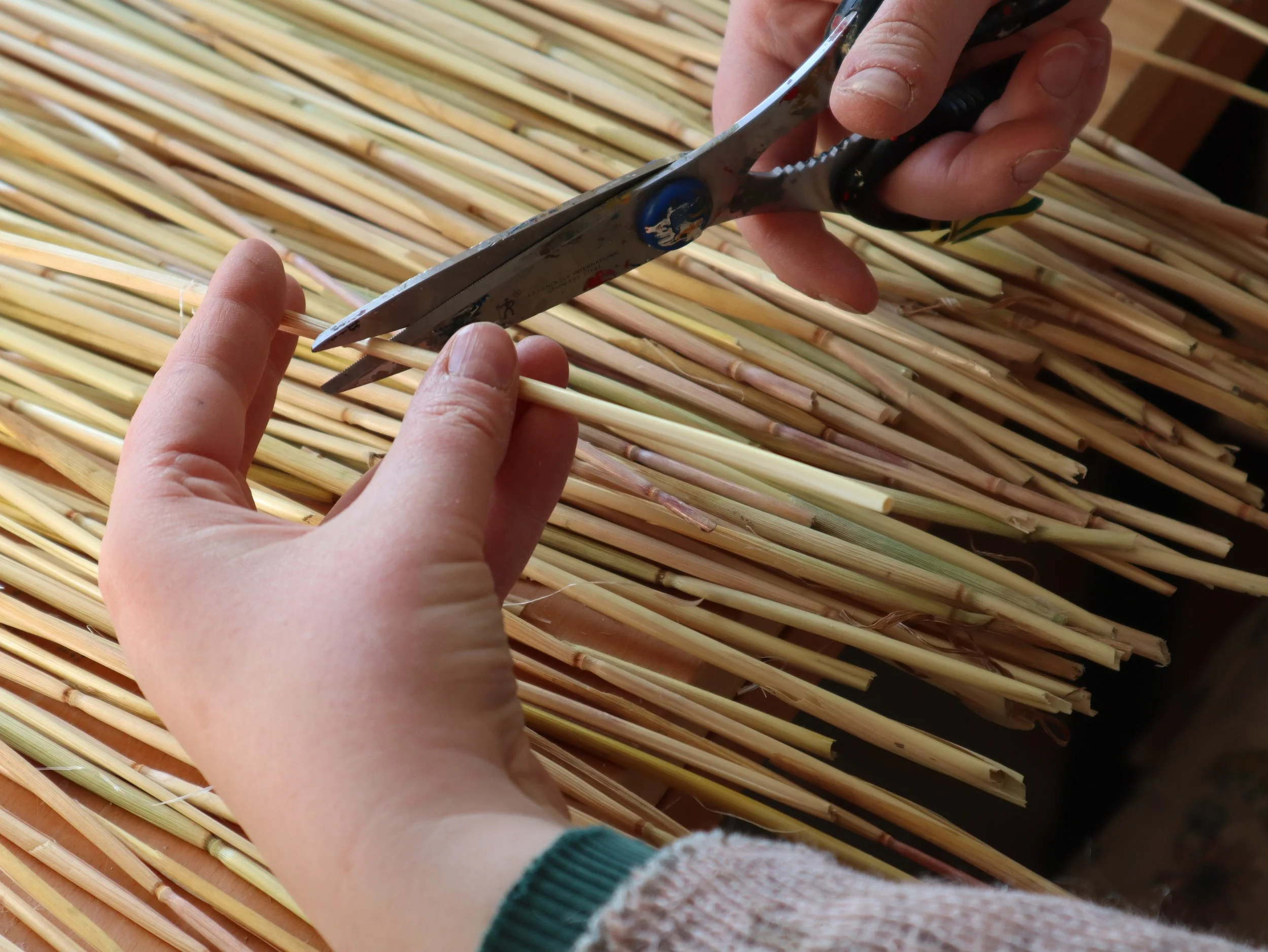 Cutting Straw.JPG