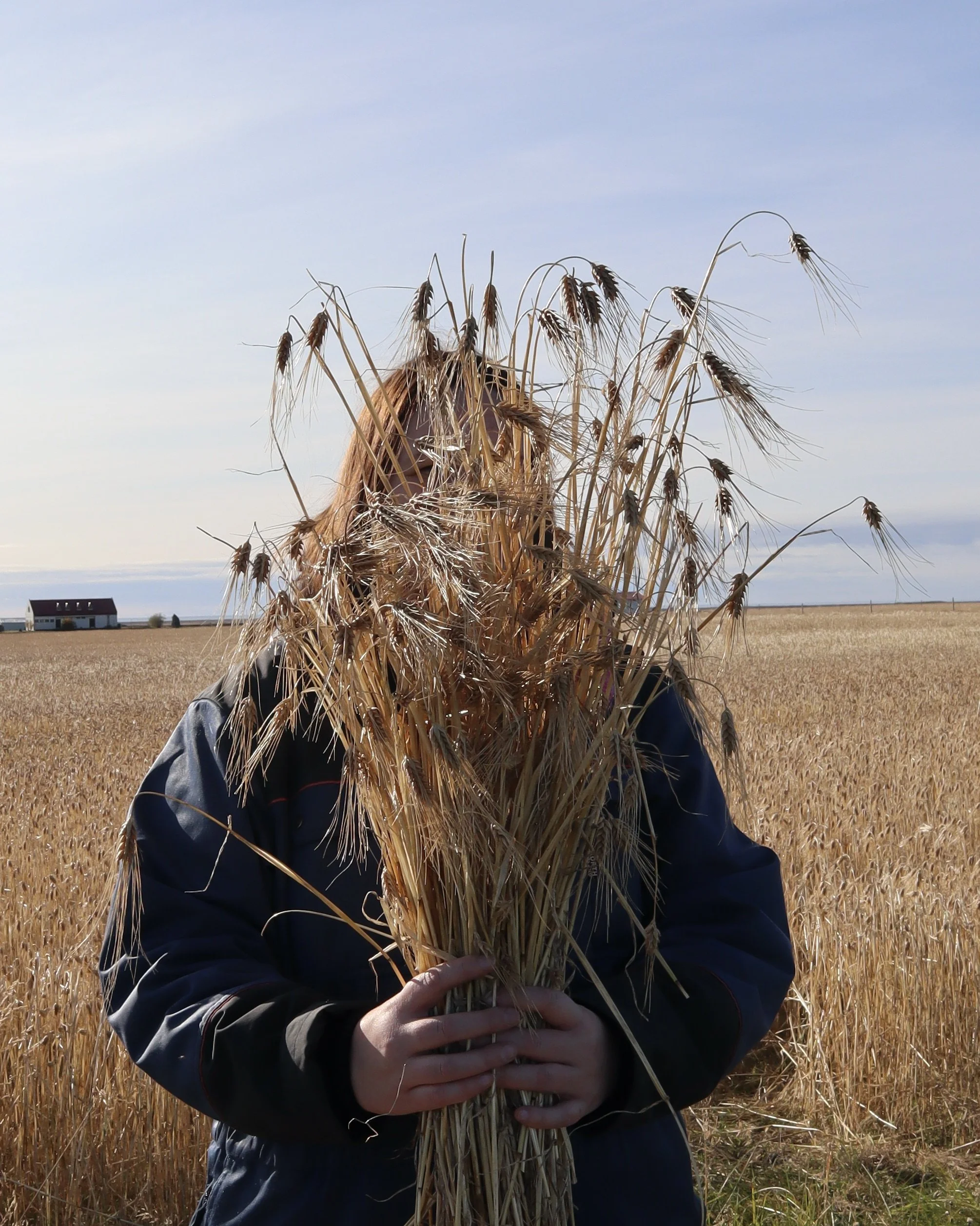 Hanna Whitehead with straw.JPG