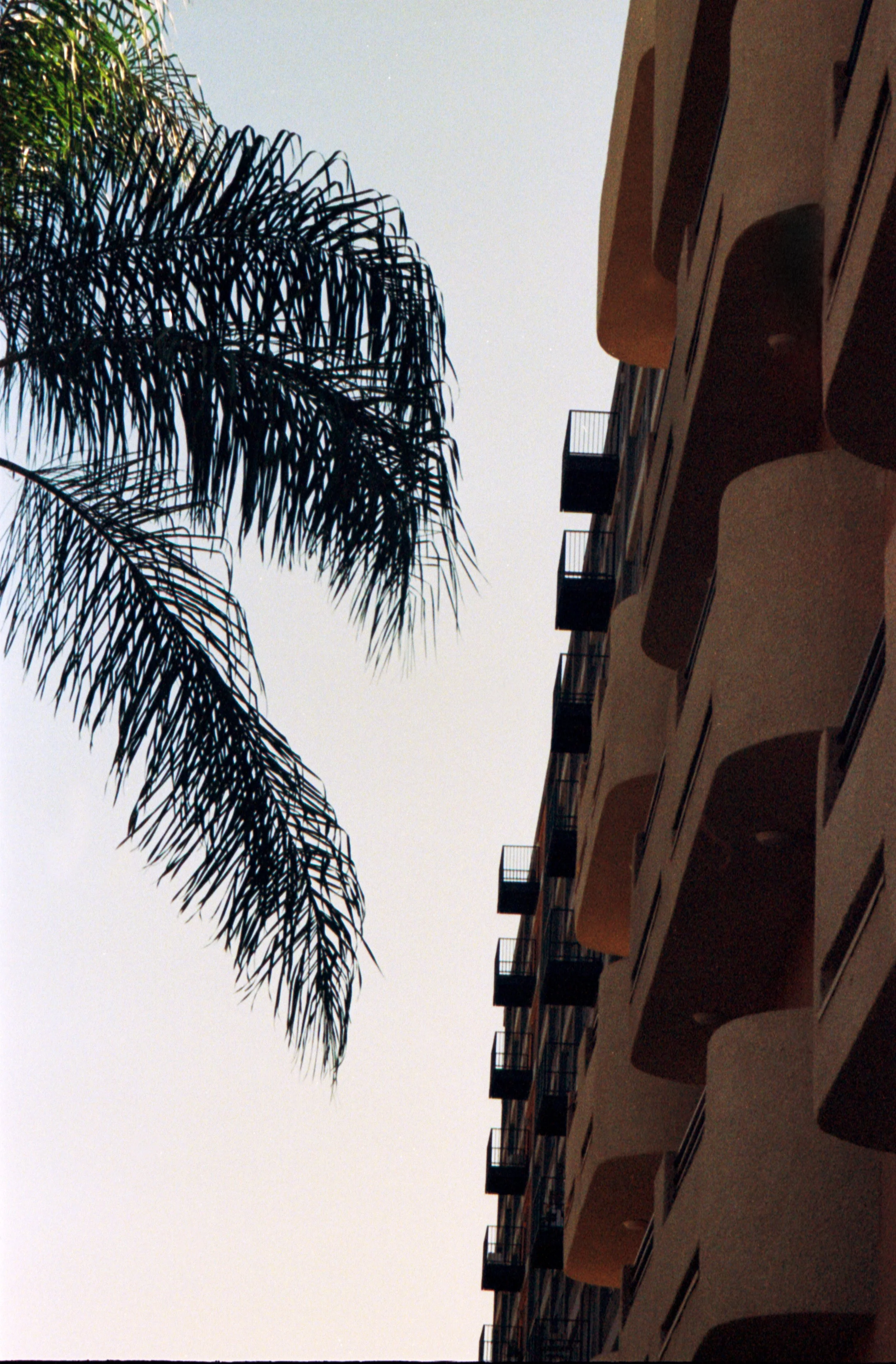 i know alone_009.jpg
