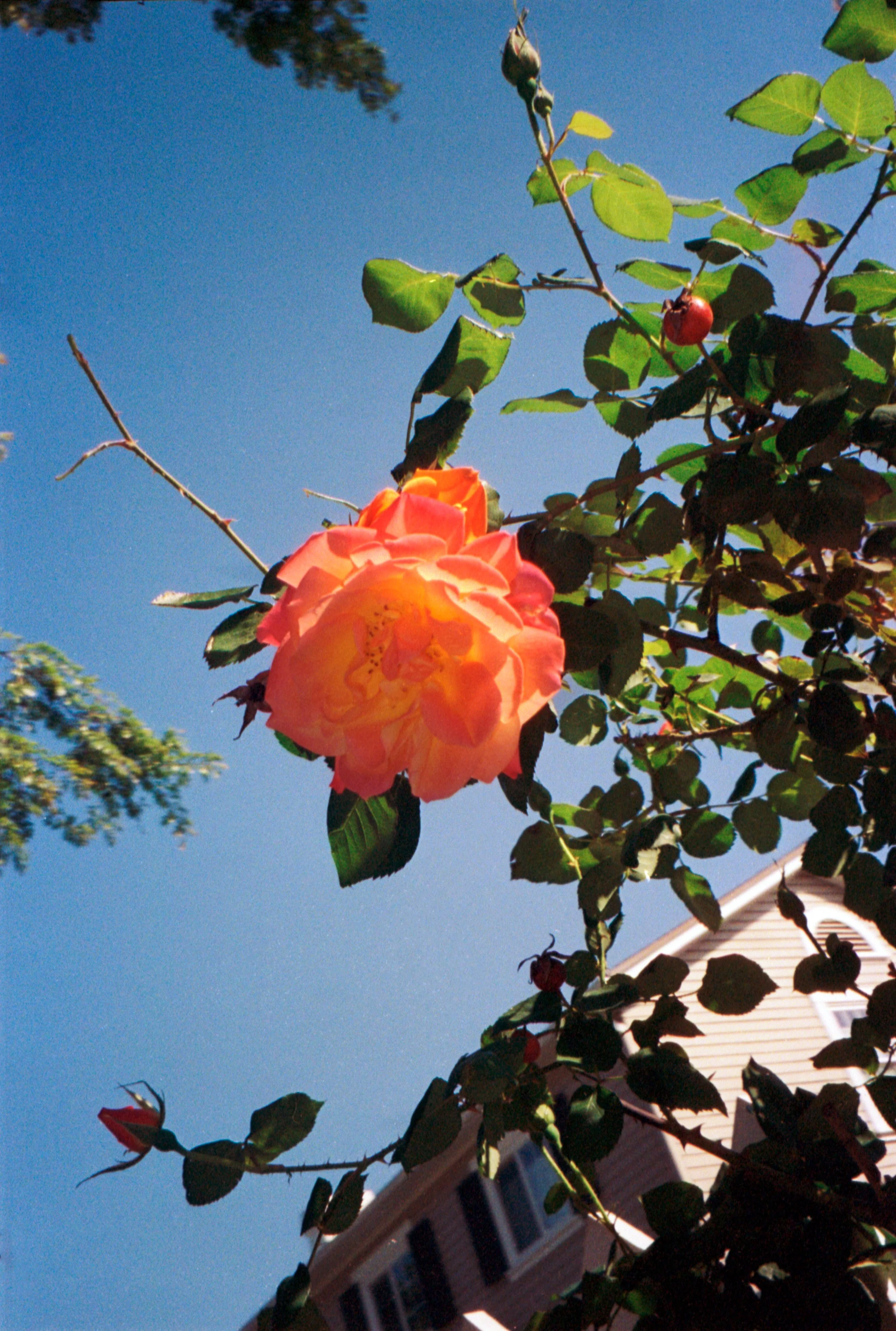 i know alone_006.jpg